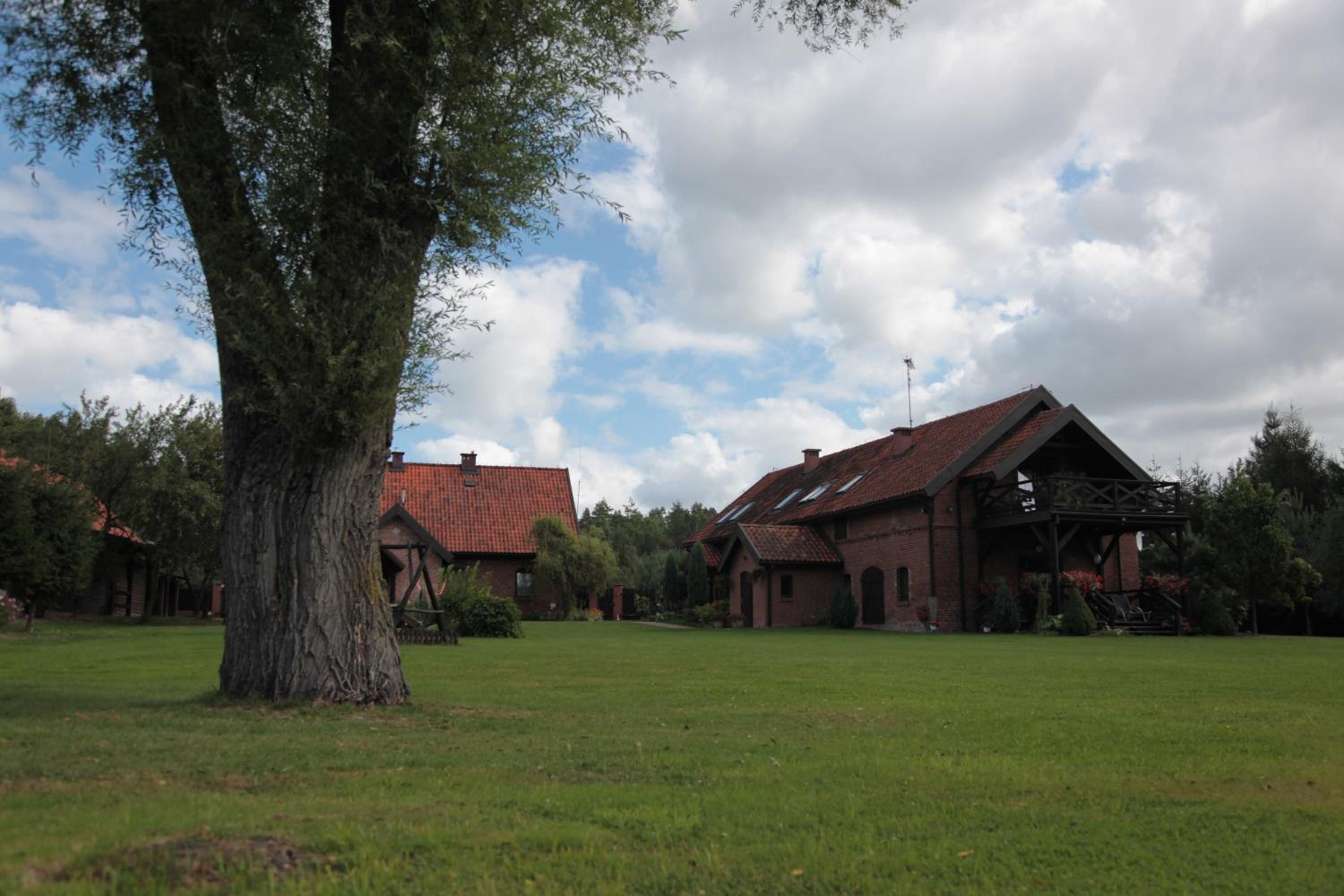 Orlik Mazury