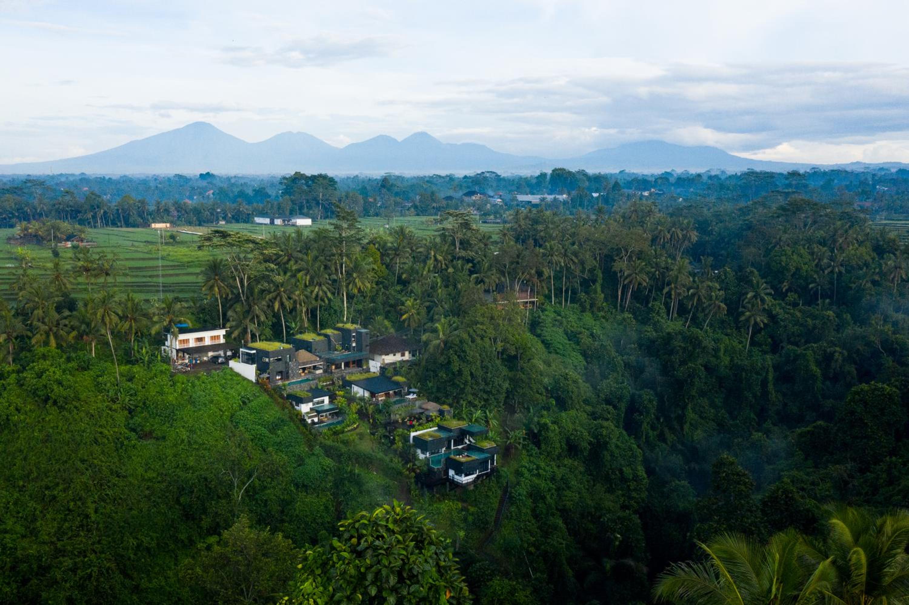 Zenubud