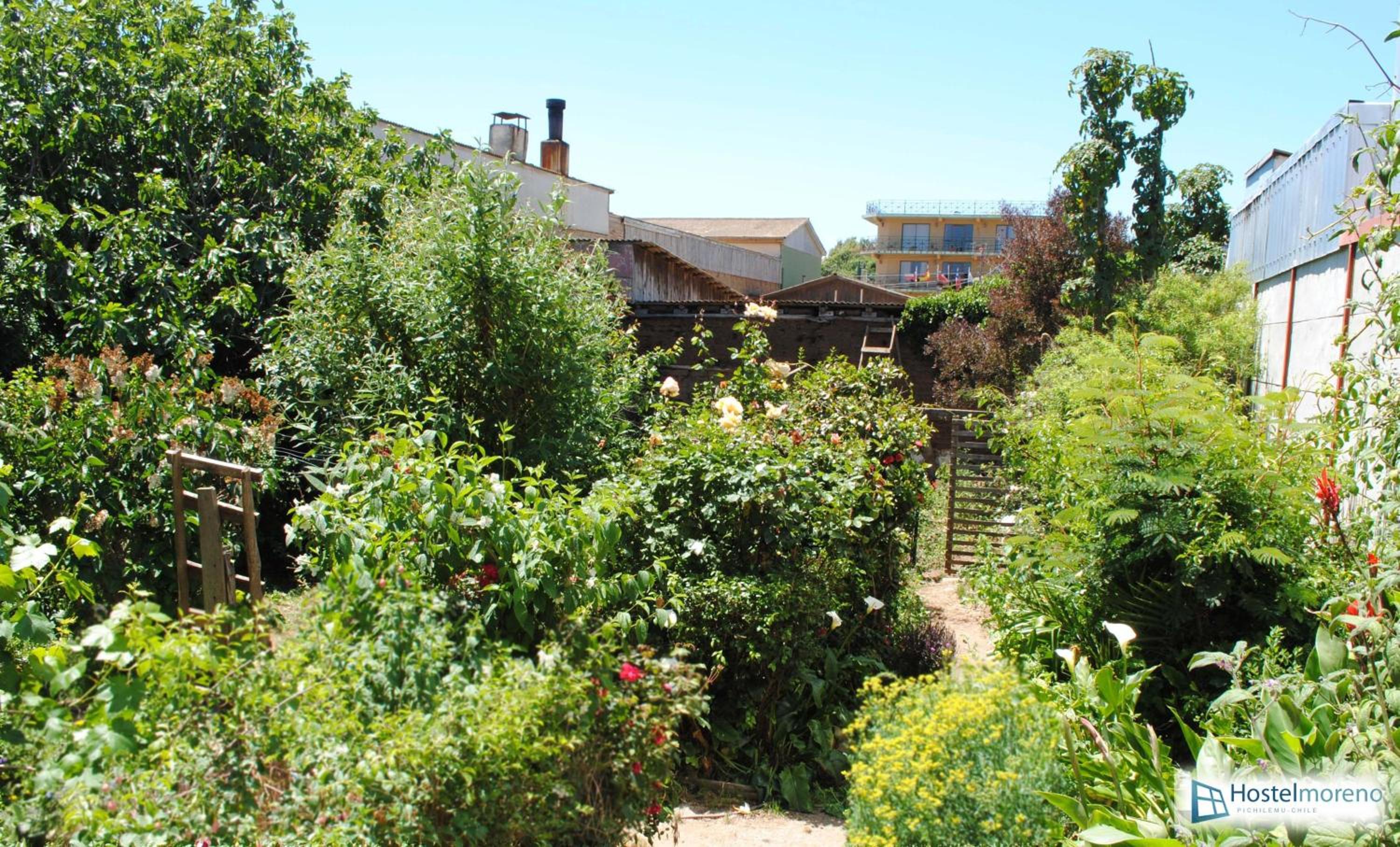 Hostel Moreno