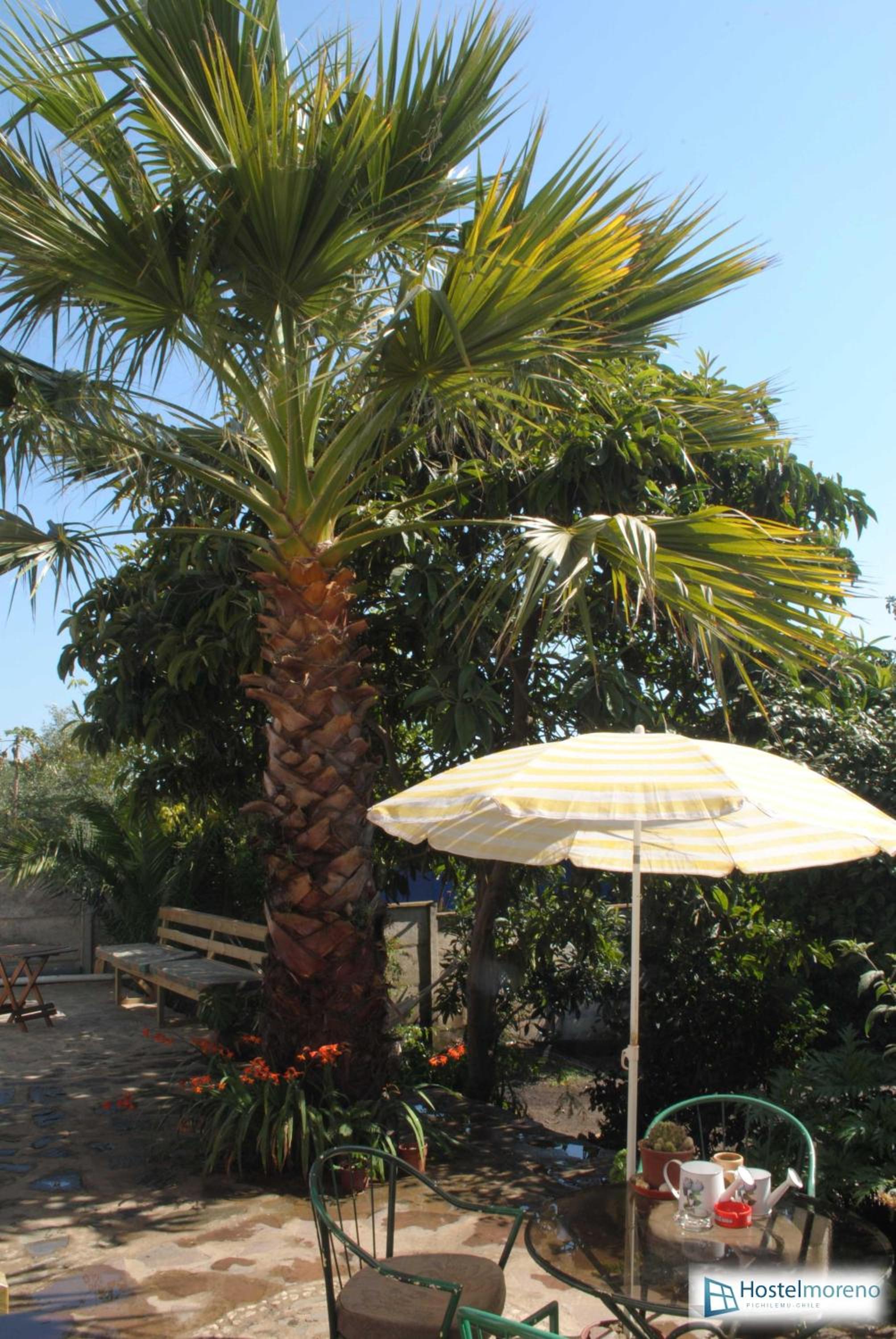 Hostel Moreno