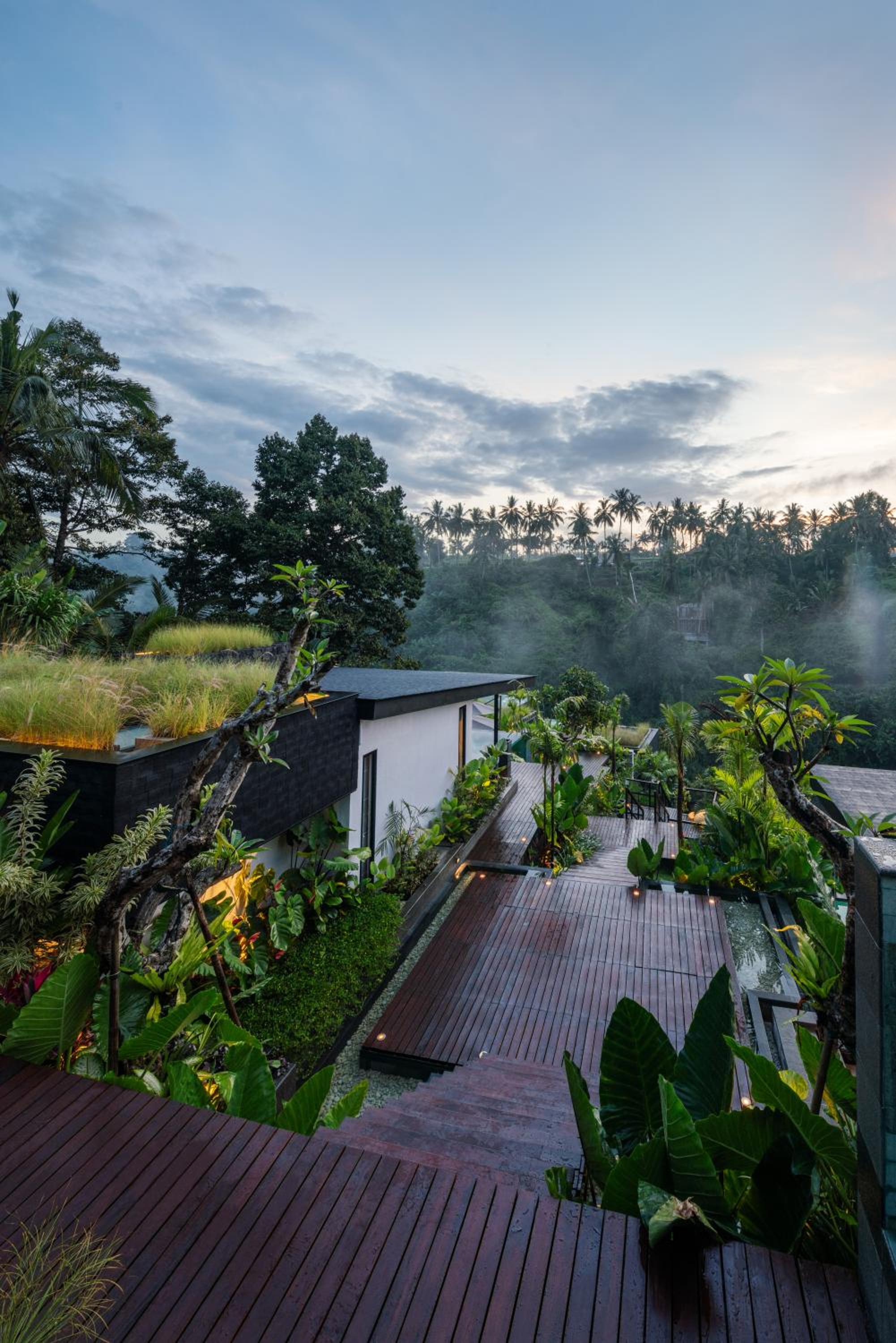 Zenubud