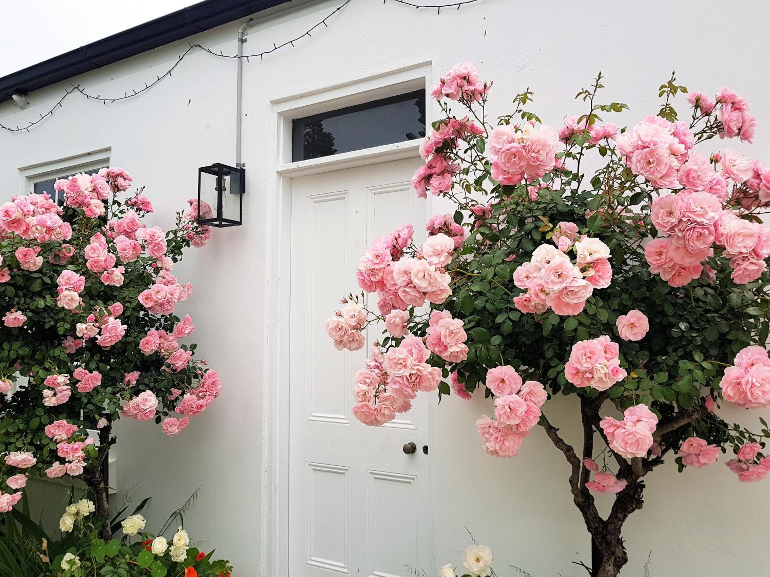 Clonmara Country House and Cottages
