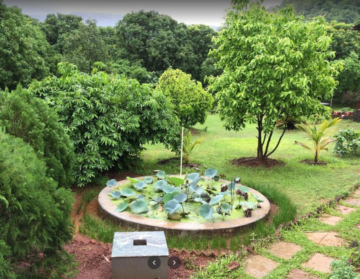 Photo 9