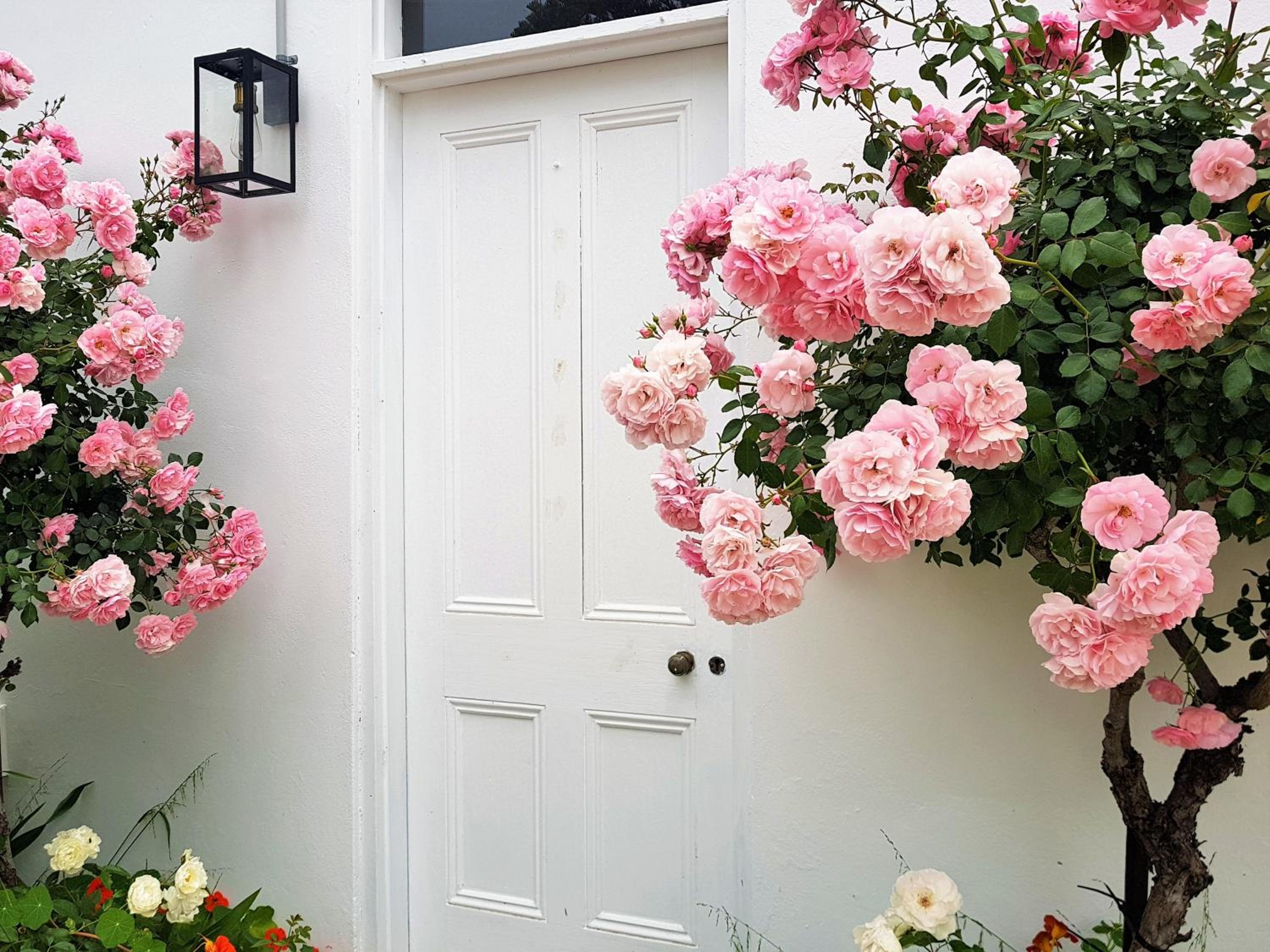 Clonmara Country House and Cottages