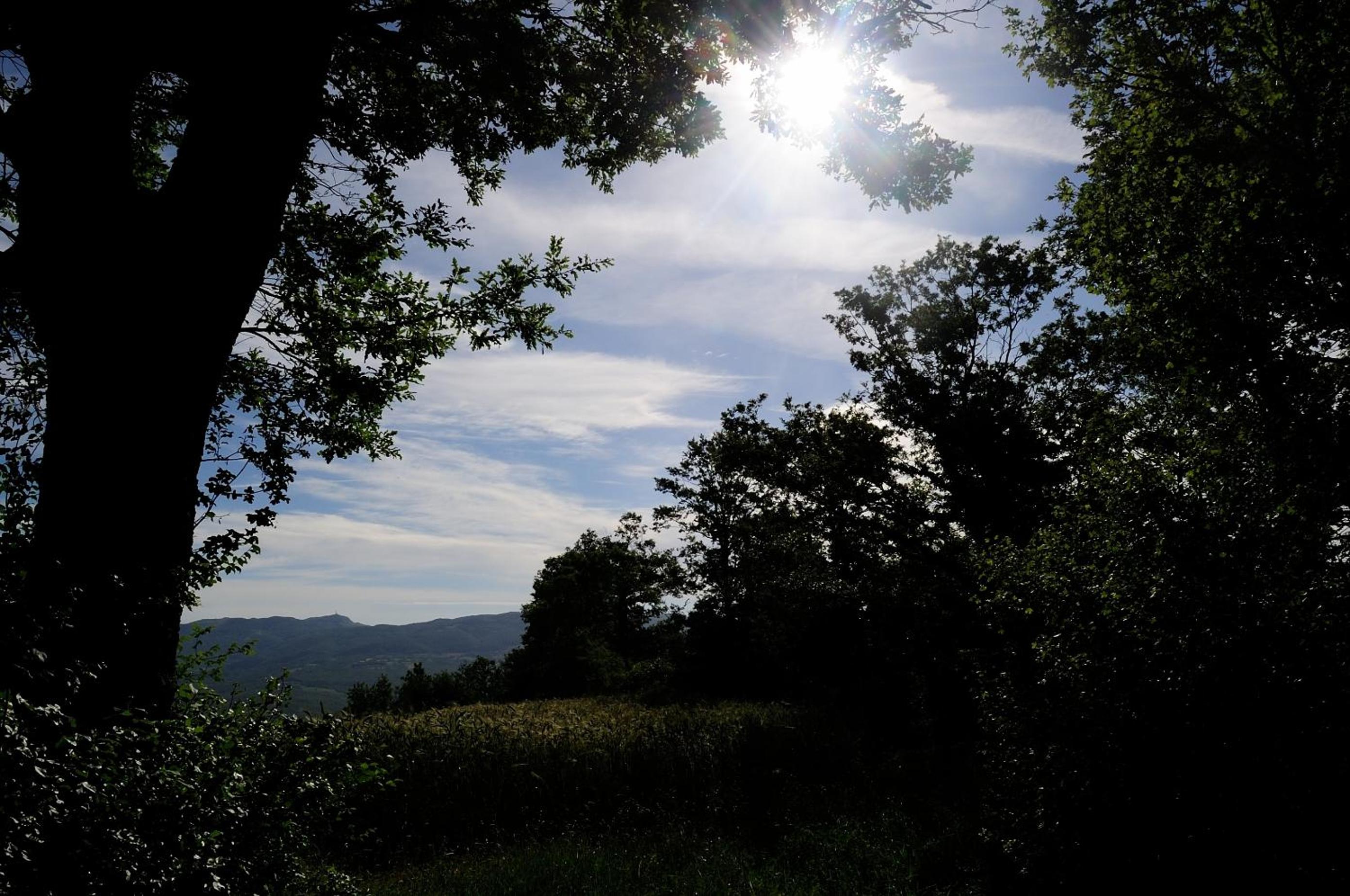 Agriturismo I Monti