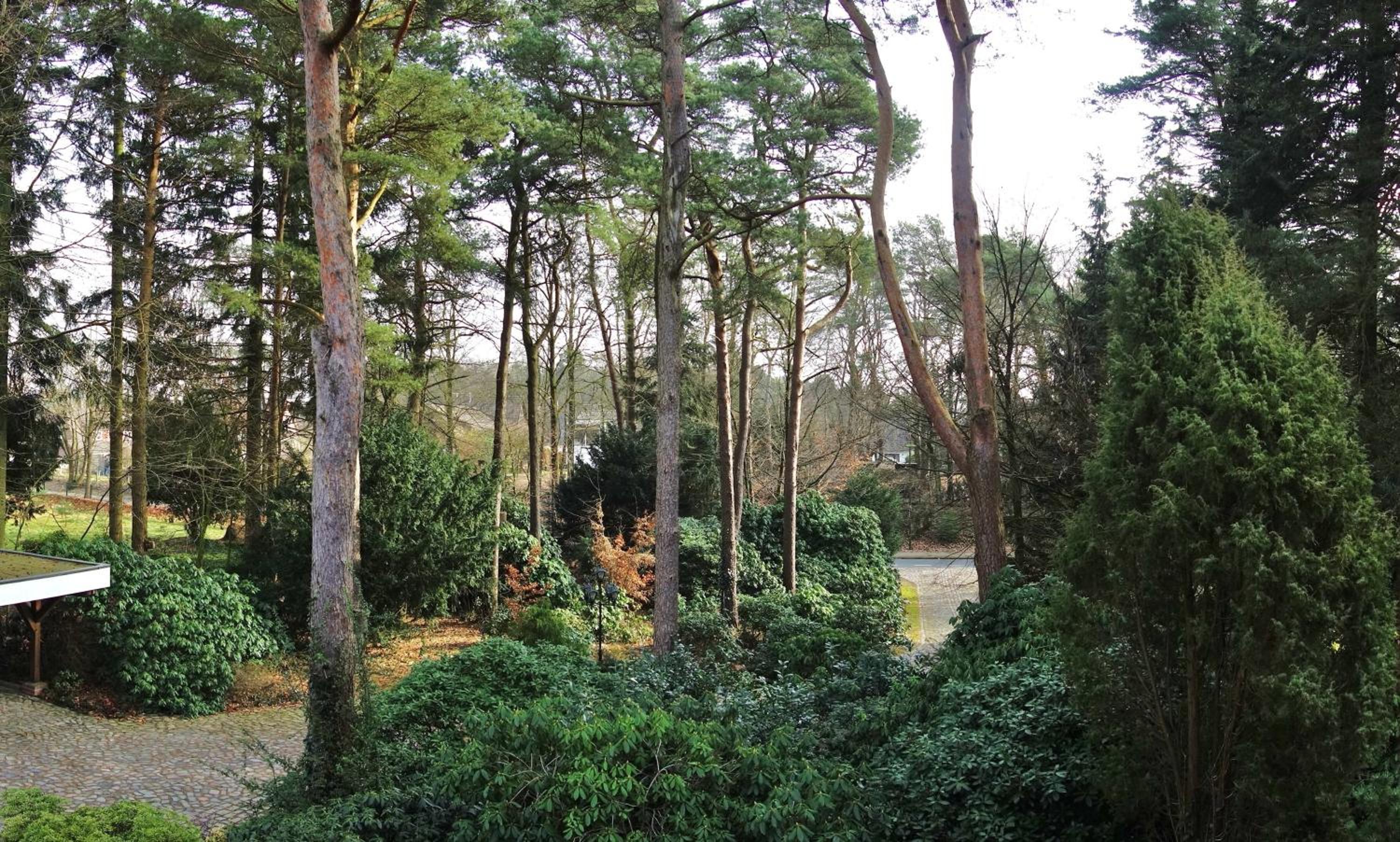 Ferienwohnung Kiefernblick-Wedemann view 3