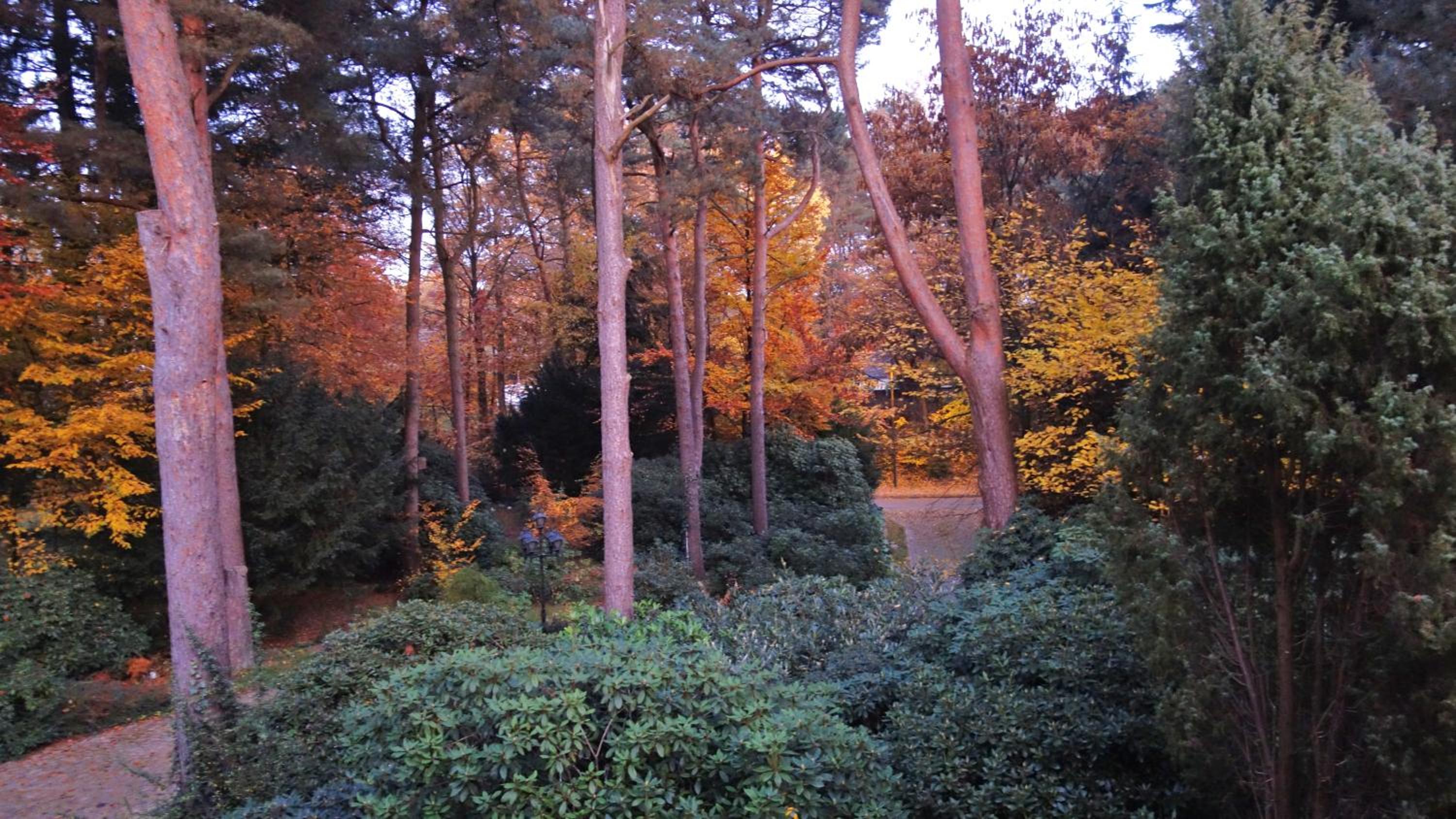 Ferienwohnung Kiefernblick-Wedemann view 4