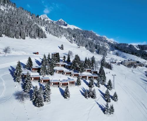 Leysin Lodge