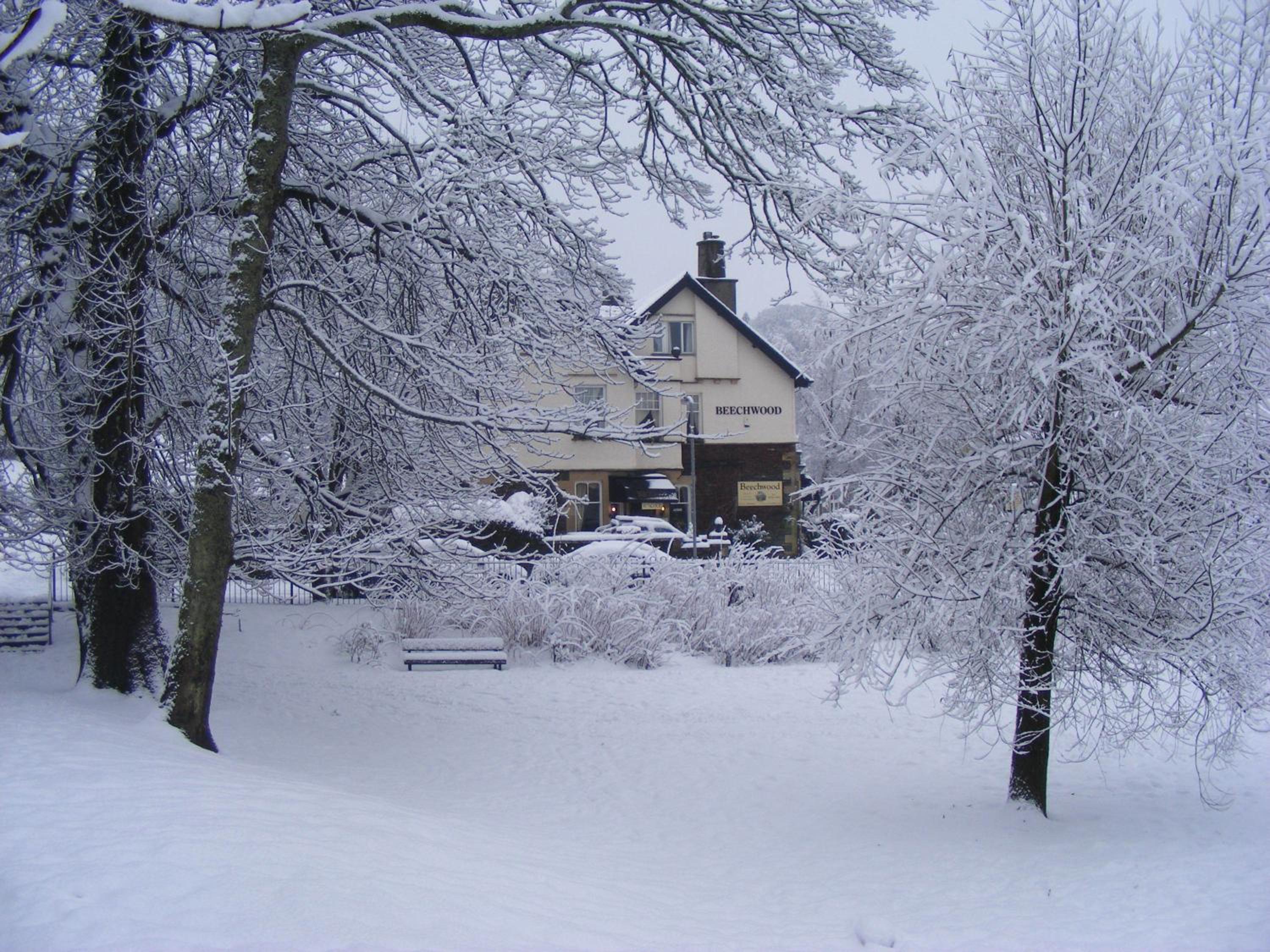 Beechwood view 5