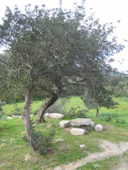 Photo 25