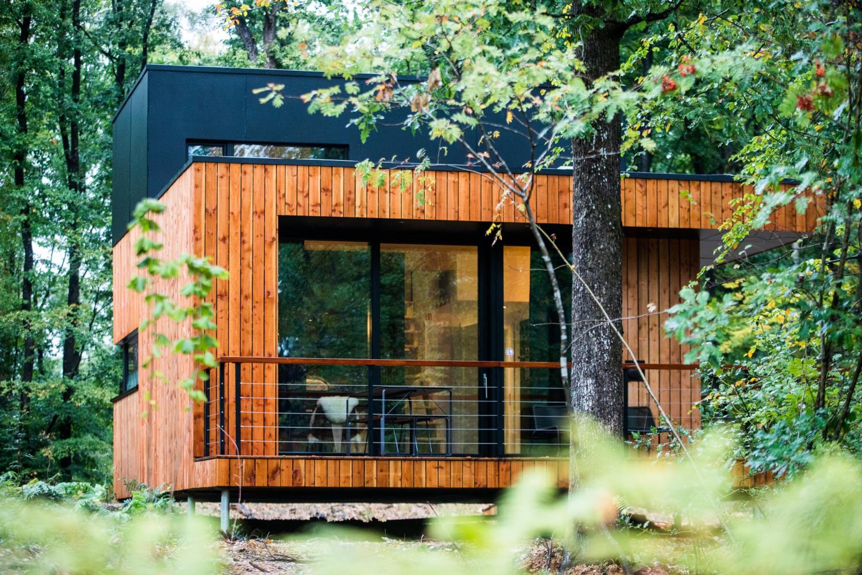Forest Cube