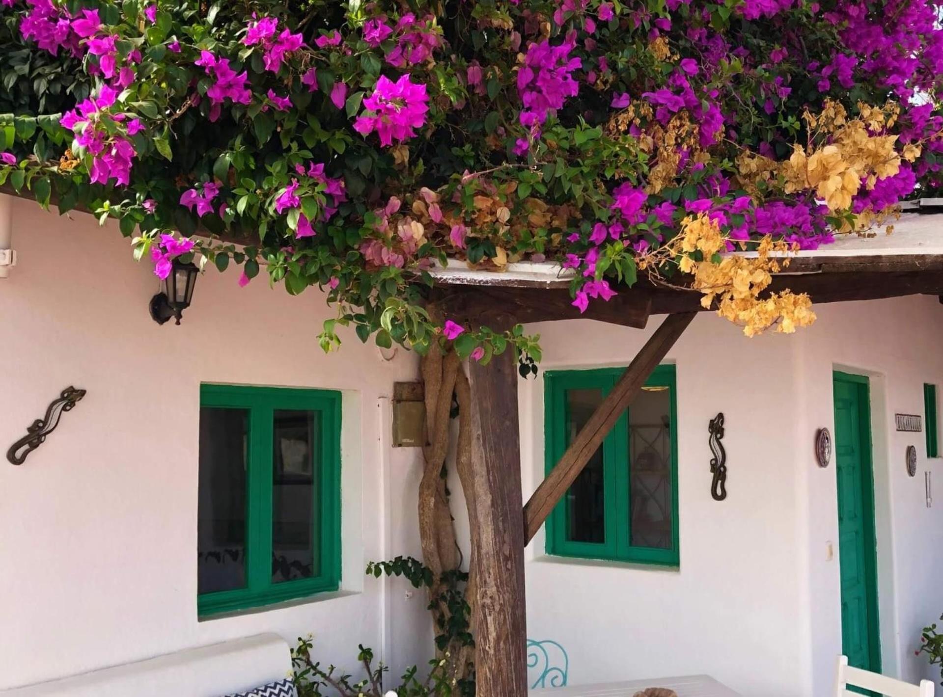 Casa vacacional Buganvilla