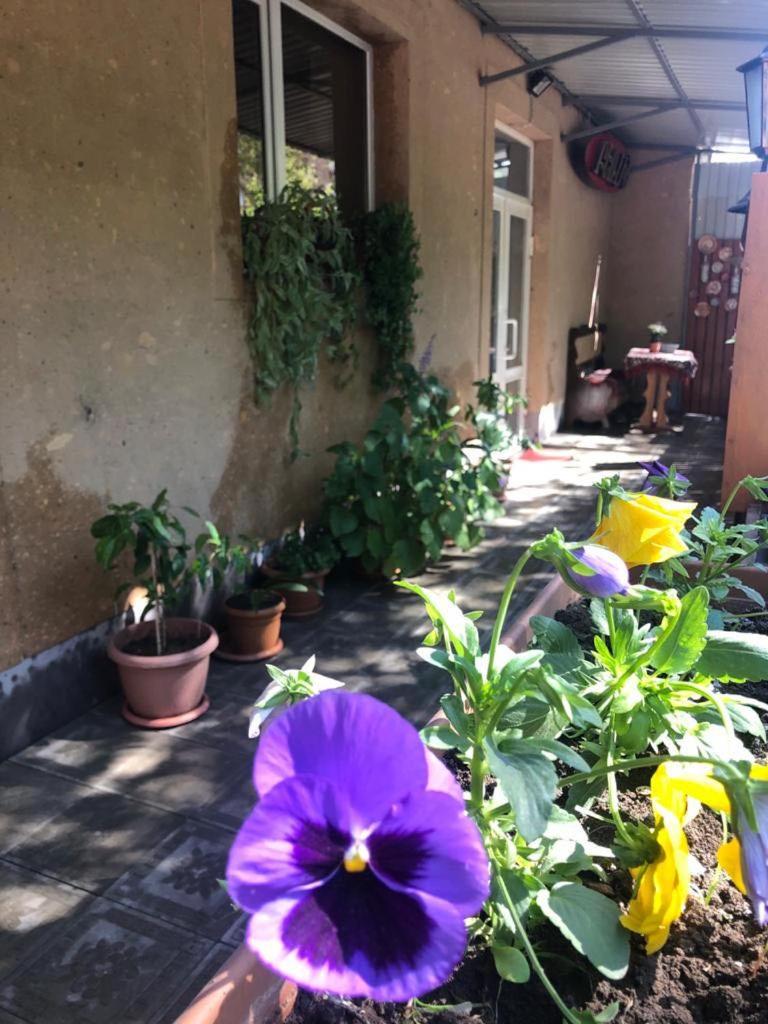Lind Guest House B&B