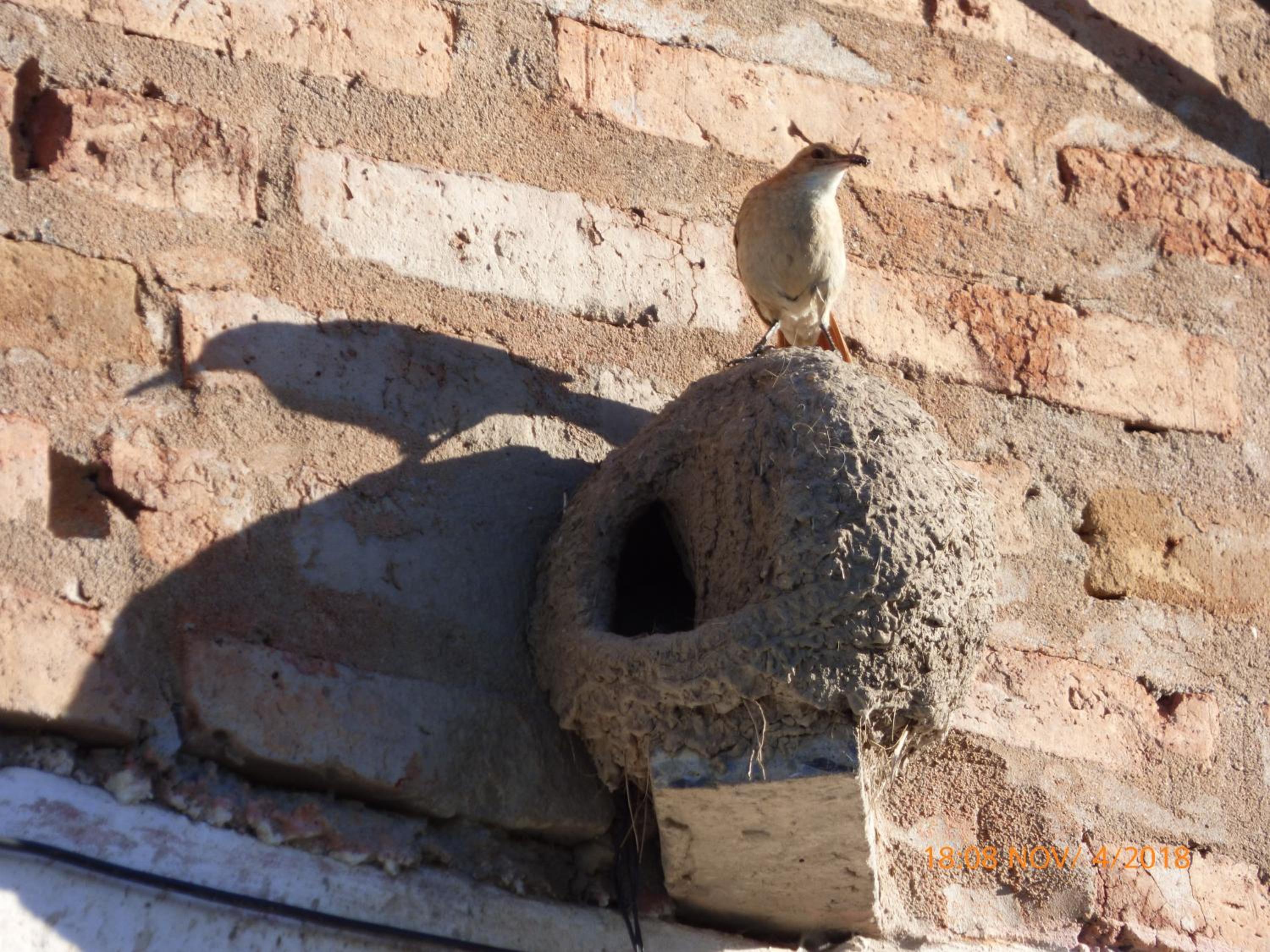 Cabaña Para Lelo