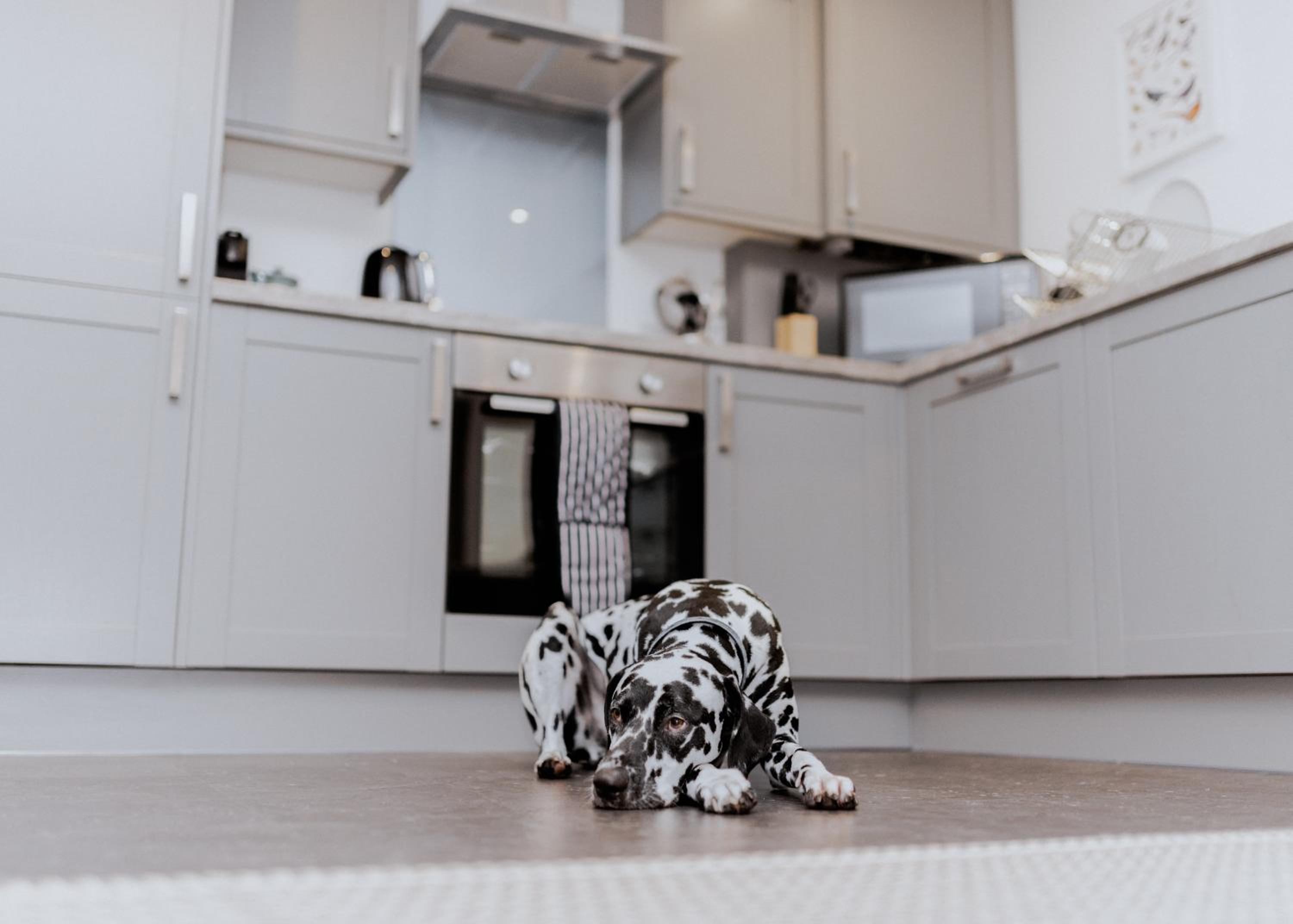 The Parlour - The Cottages at Blackadon Farm view 3
