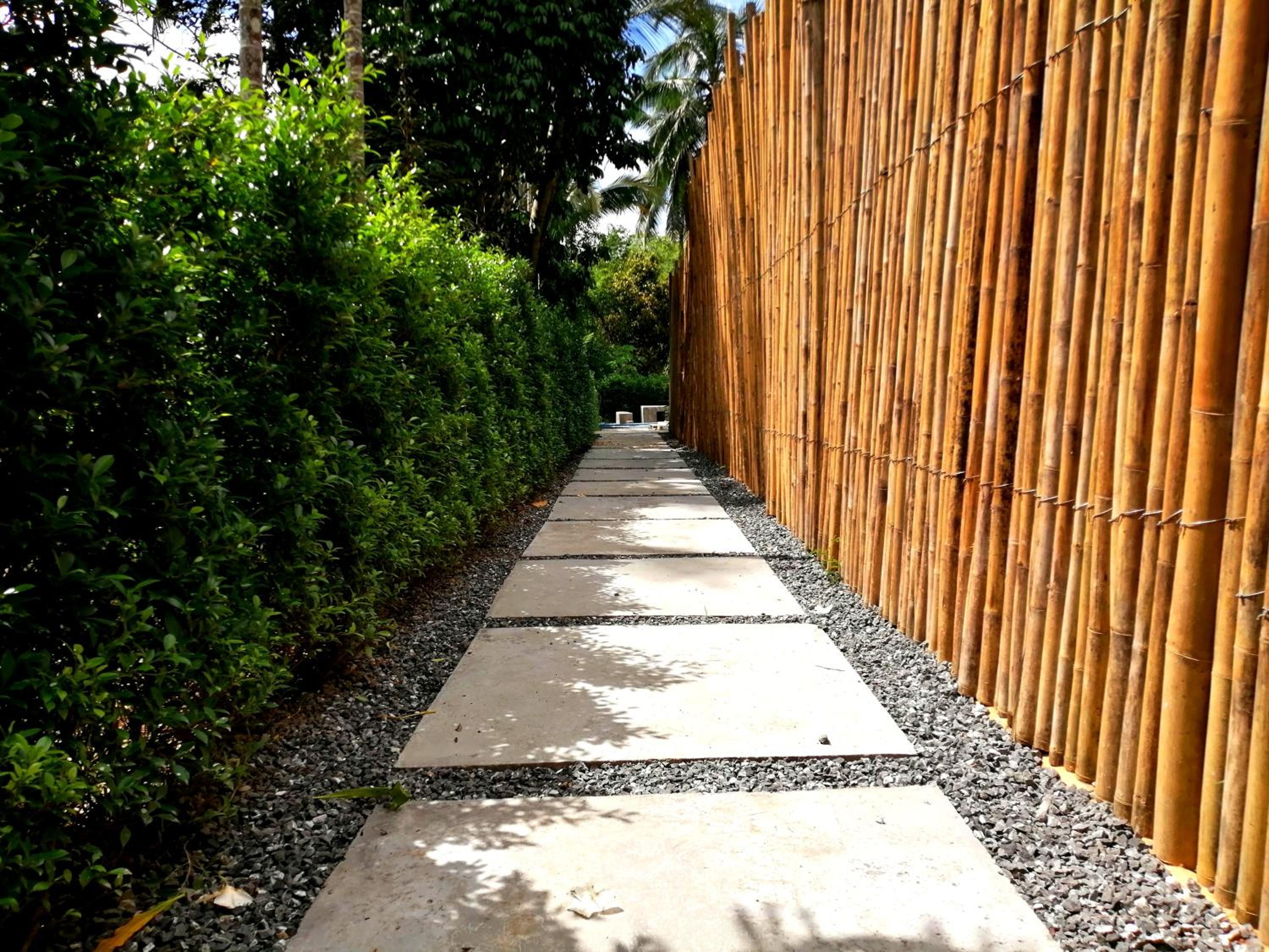 Photo 42