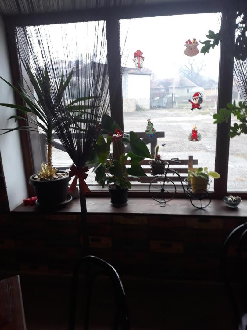 Photo 13