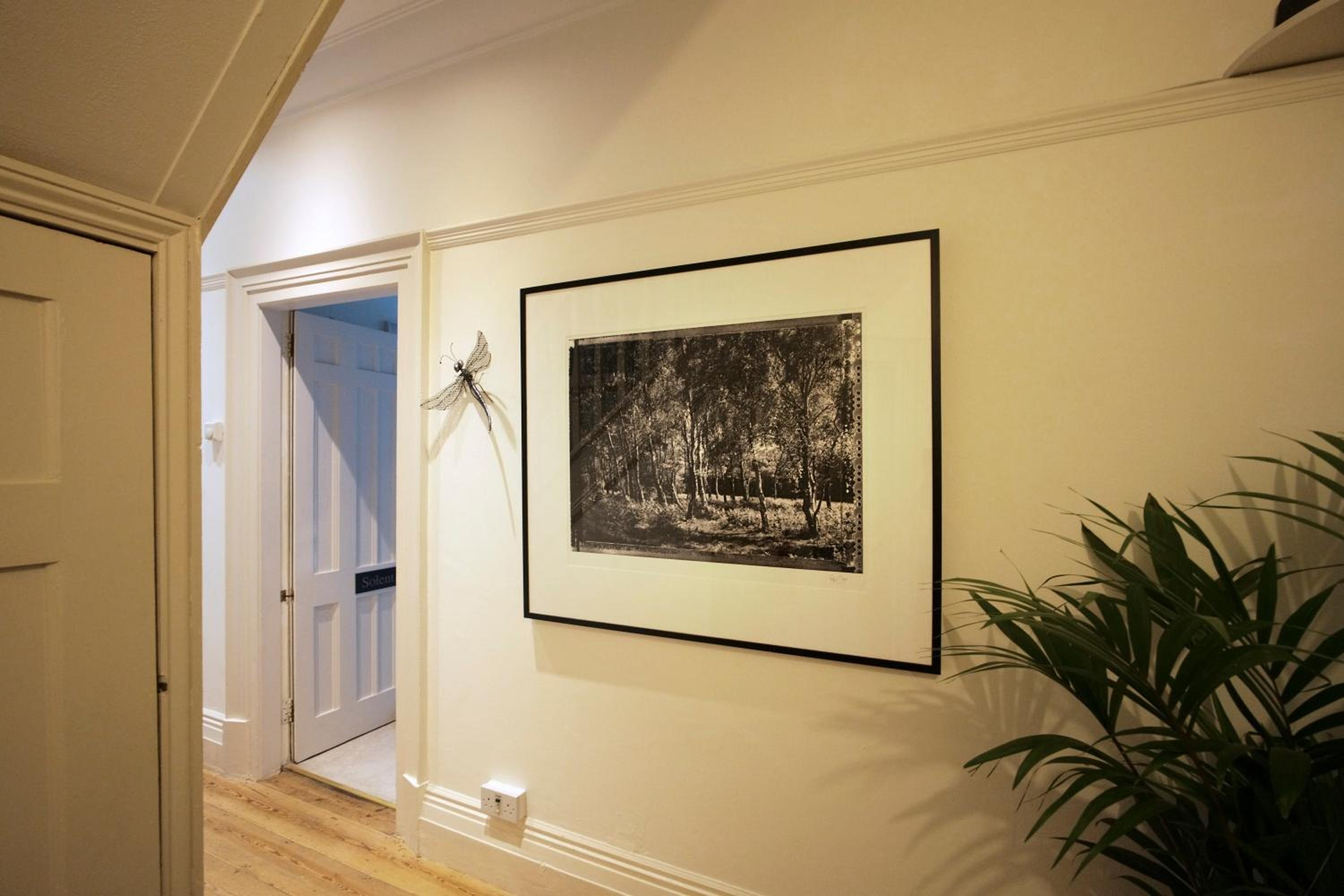 Daisybank Cottage Boutique Bed and Breakfast