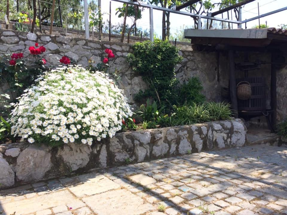 La Torretta Bianca view 5