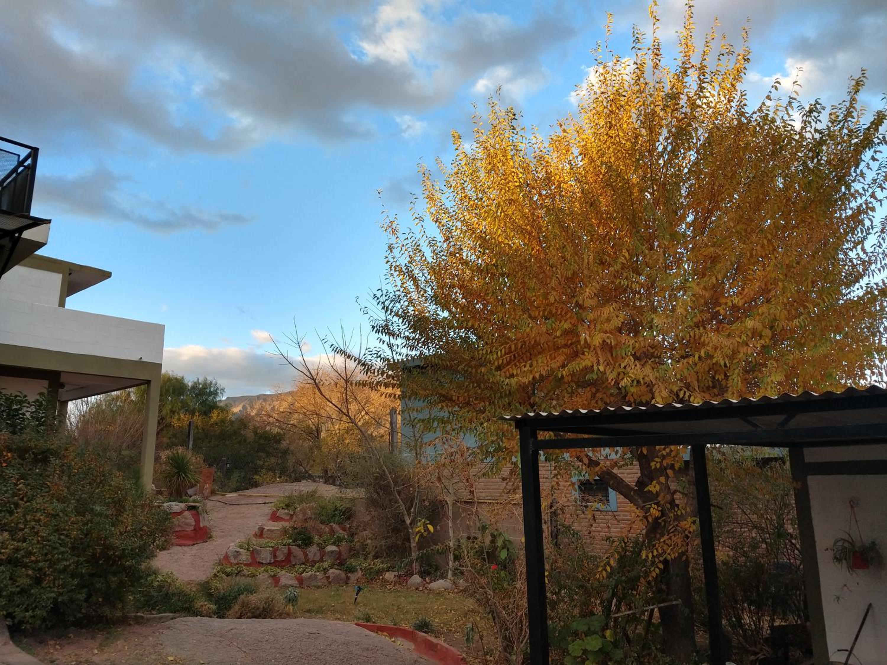 Mi lugar