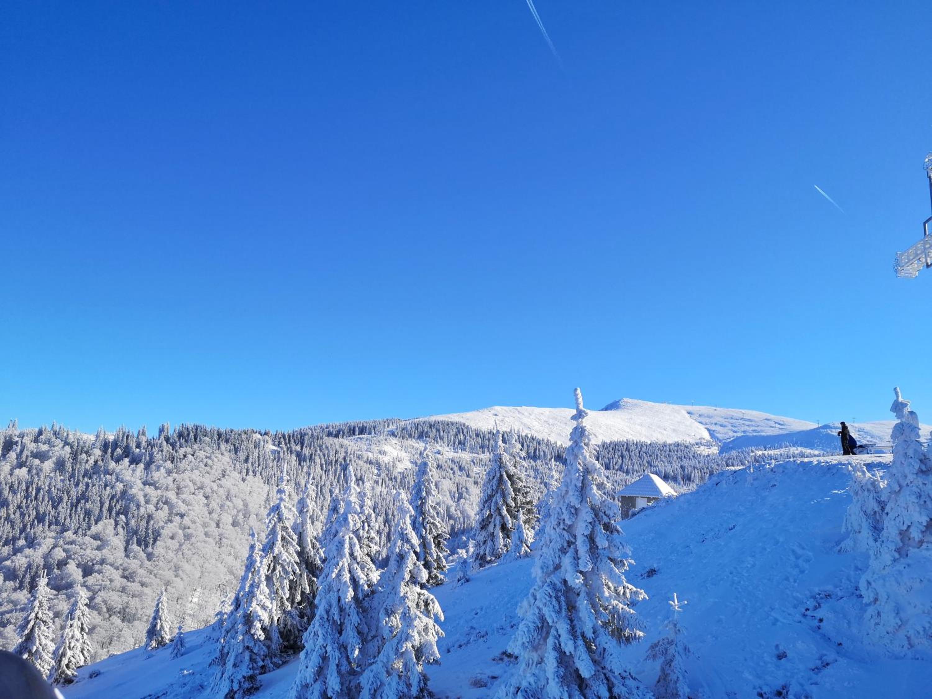 Dor de Munte Straja