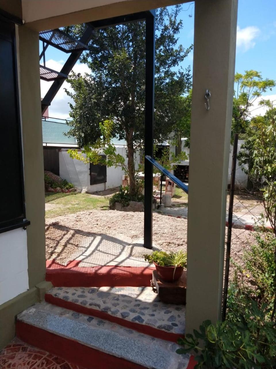 Mi lugar