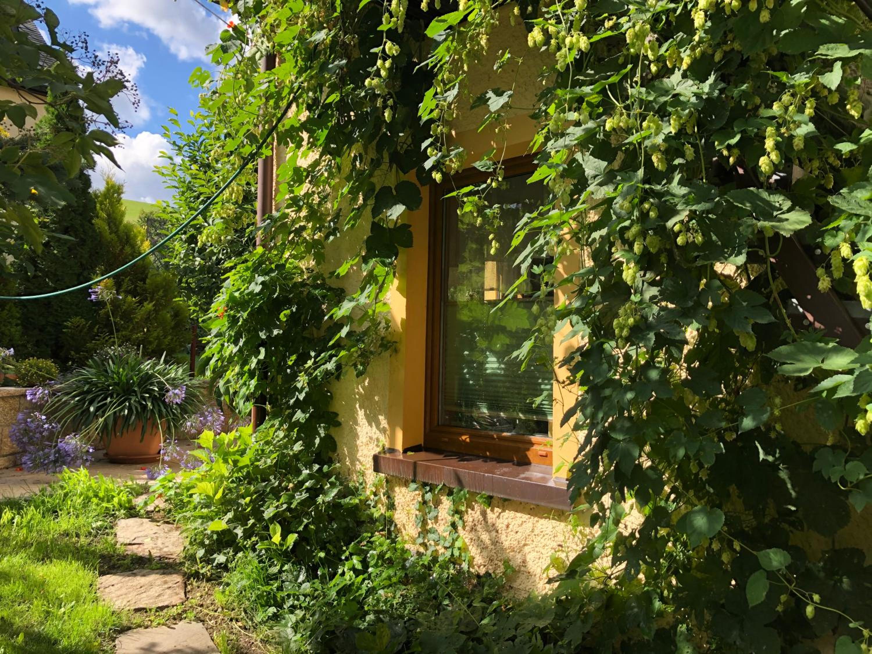 Ferienhaus Erzgebirge 