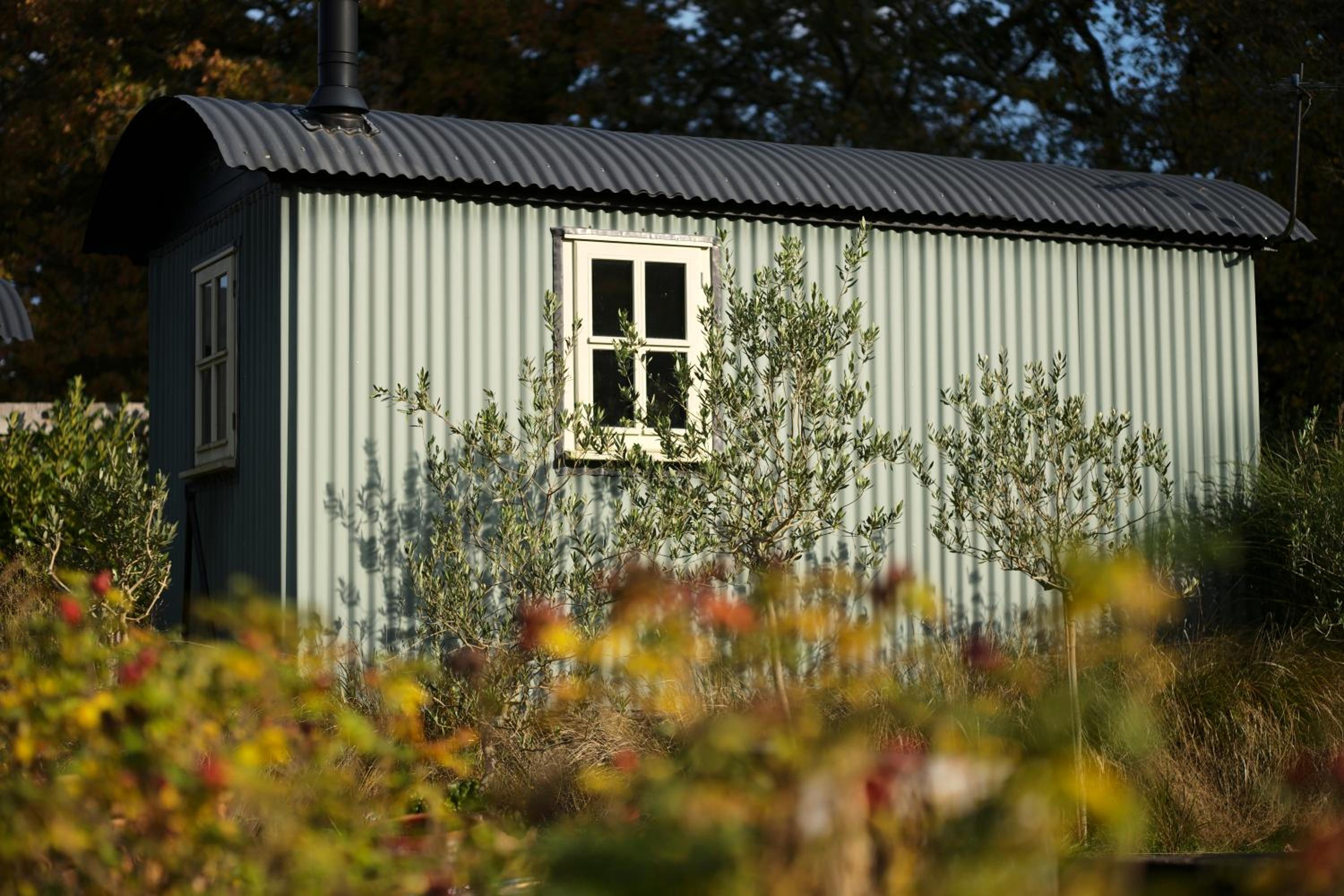 Daisybank Cottage Boutique Bed and Breakfast