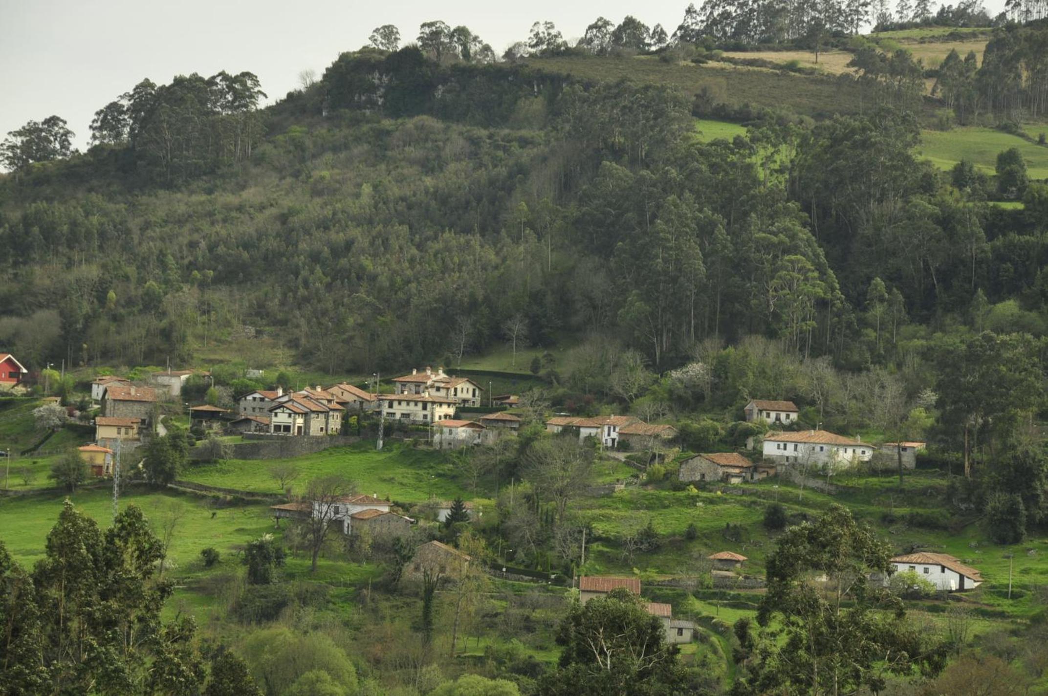 Photo 31