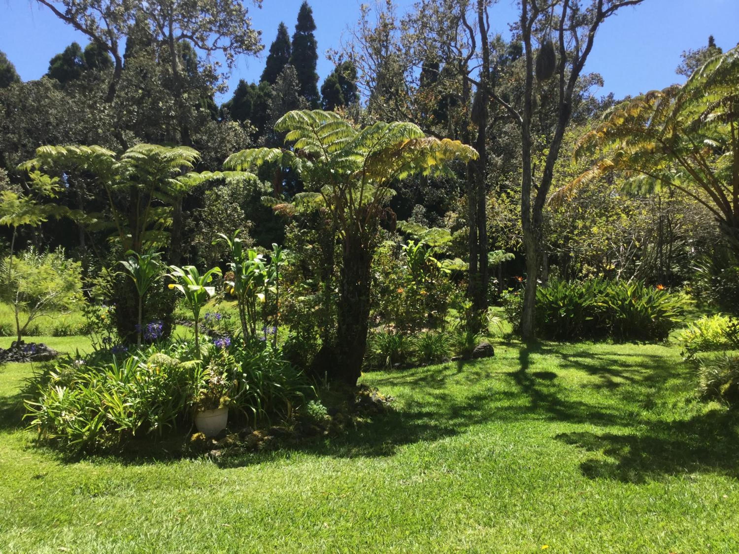 Hale 'Ohu Bed & Breakfast