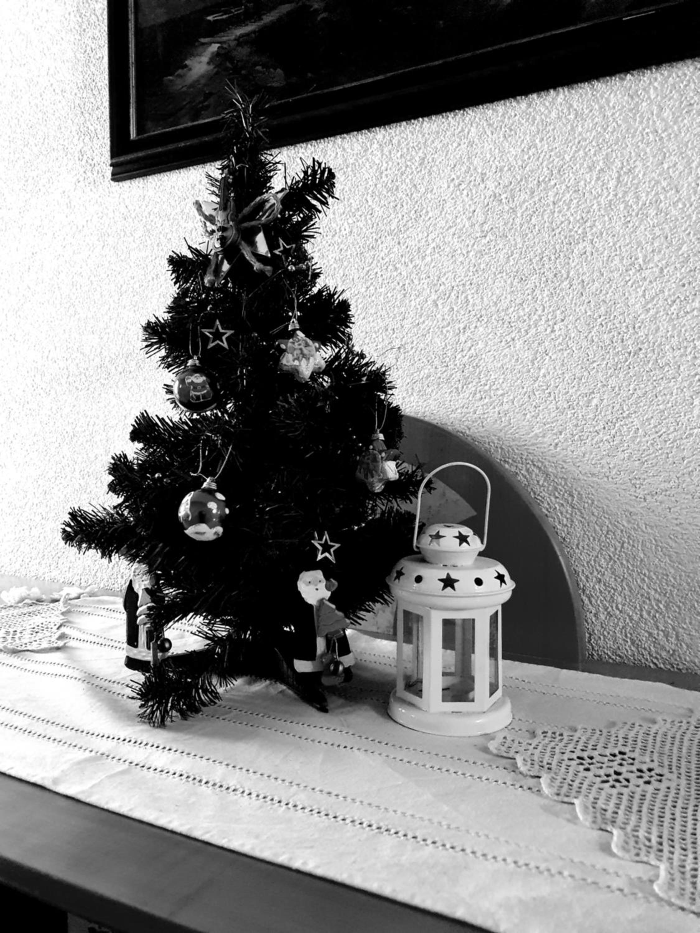 Photo 31
