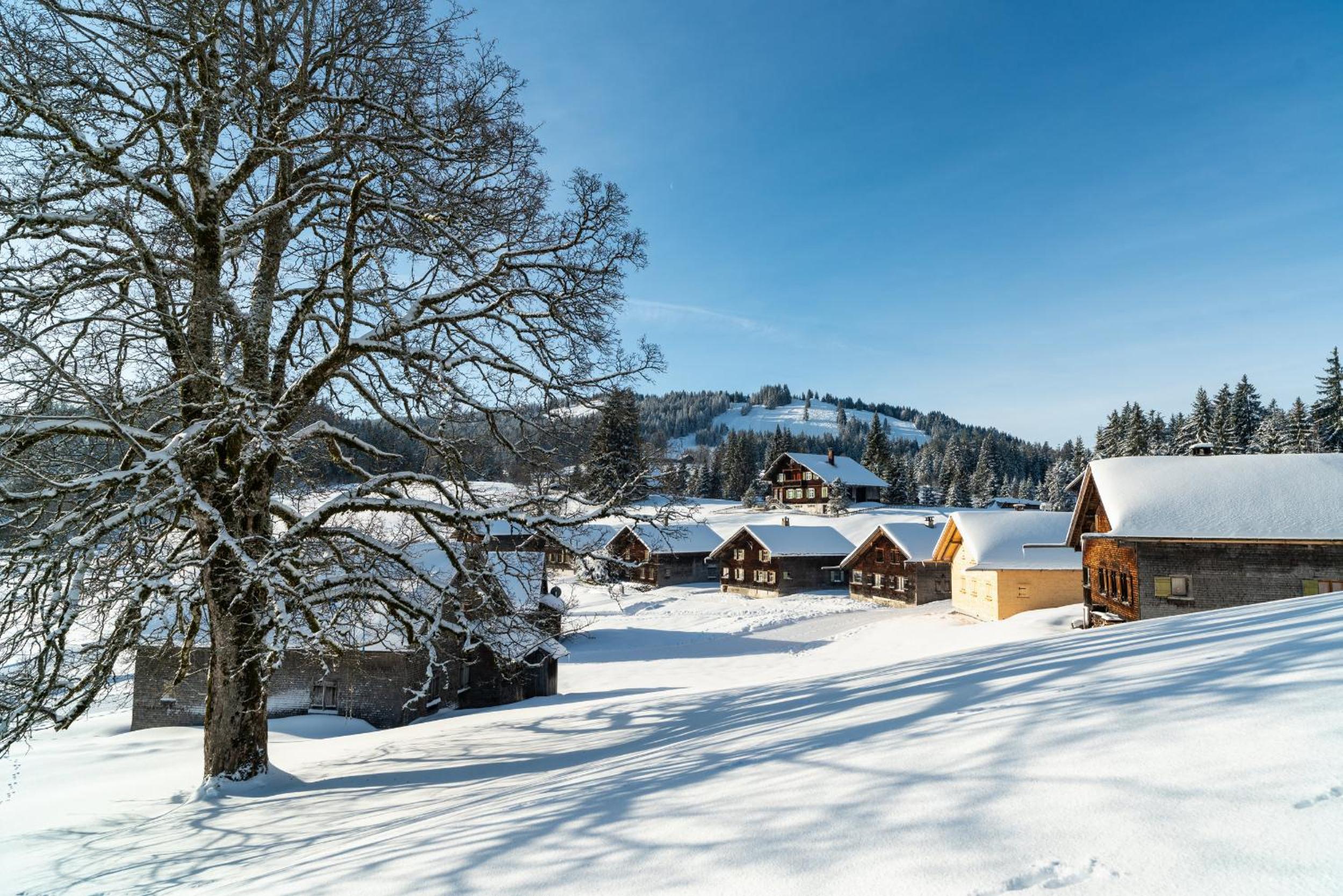 Ferienhaus Brittenberg