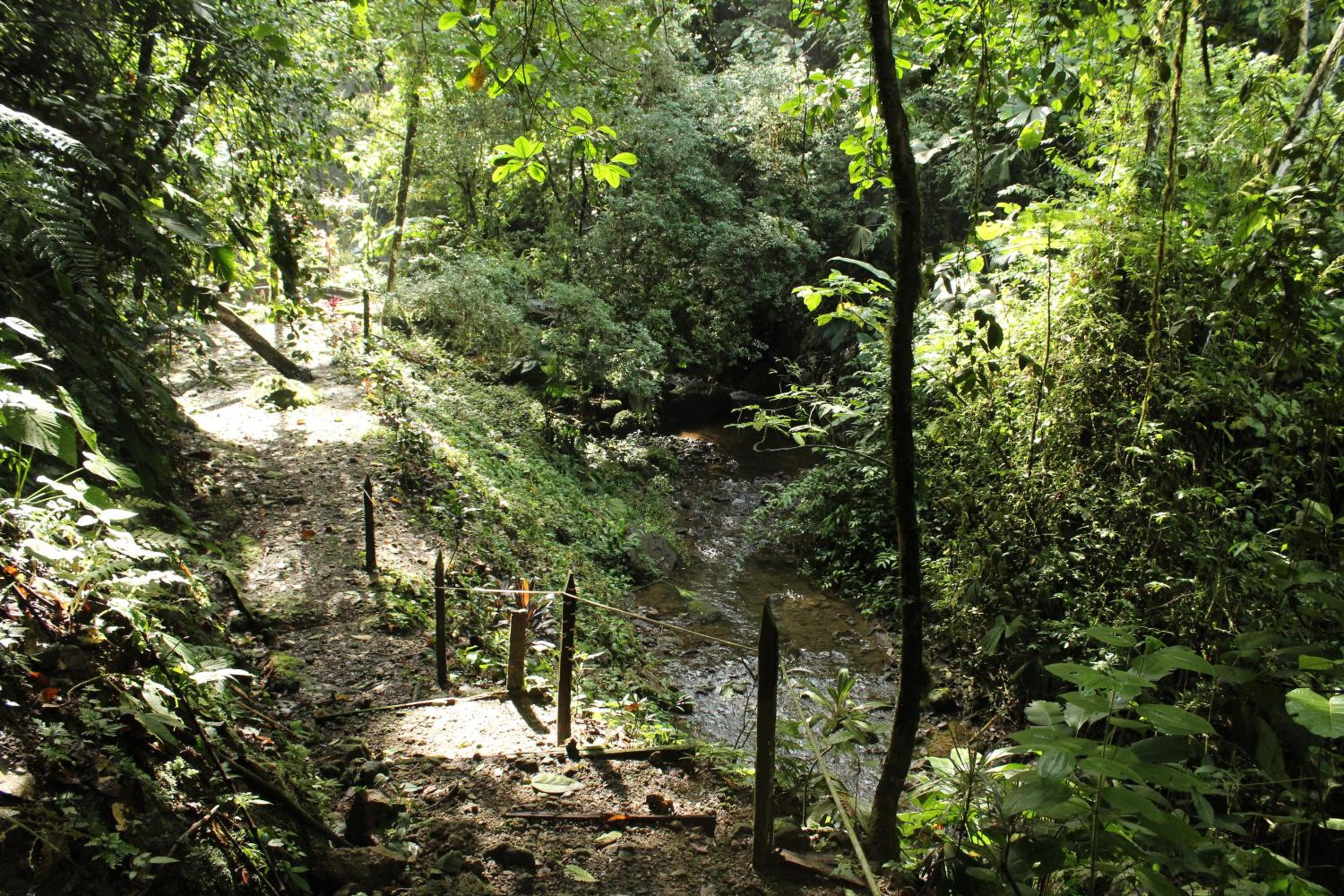 Princesa de la Luna EcoLodge 23