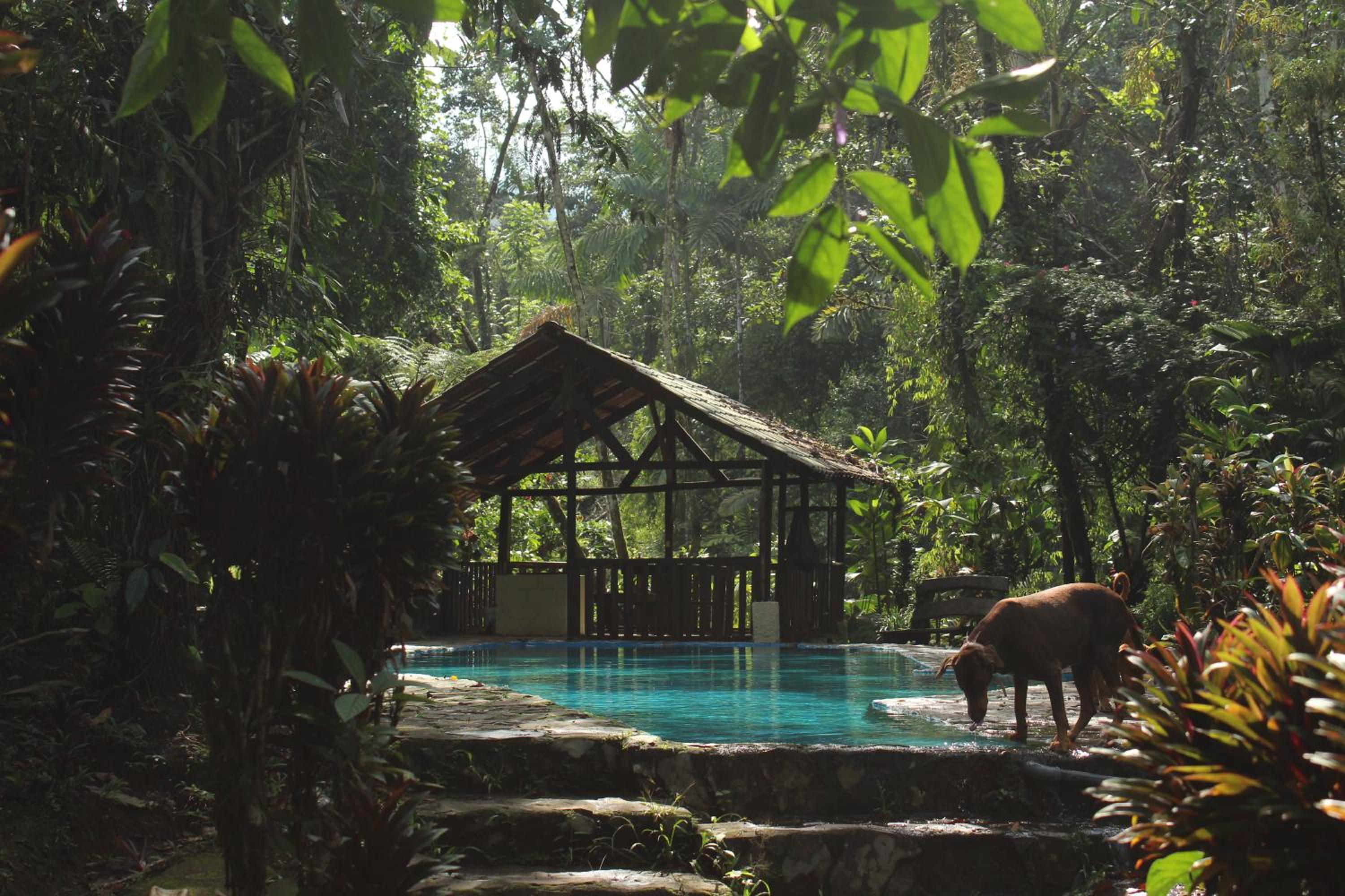 Princesa de la Luna EcoLodge 25