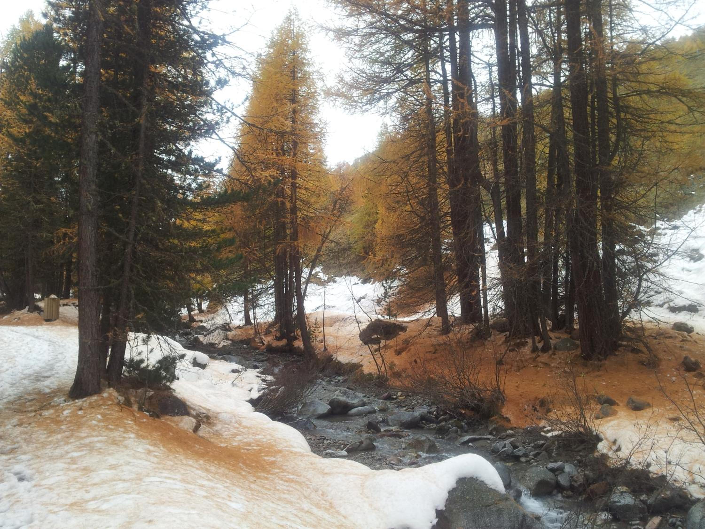 Chalet Rin da Pemont
