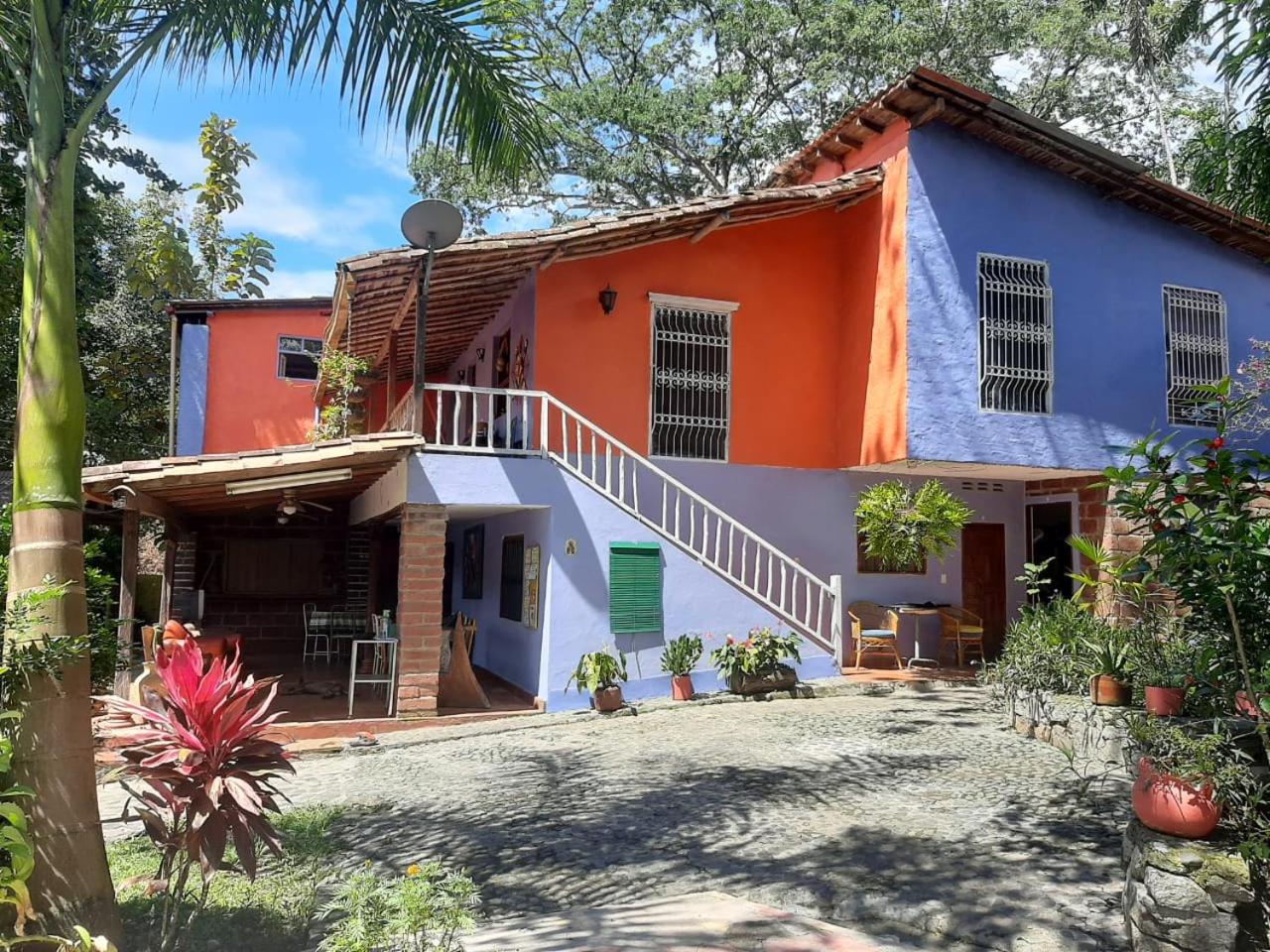 Selvablanca Hostel
