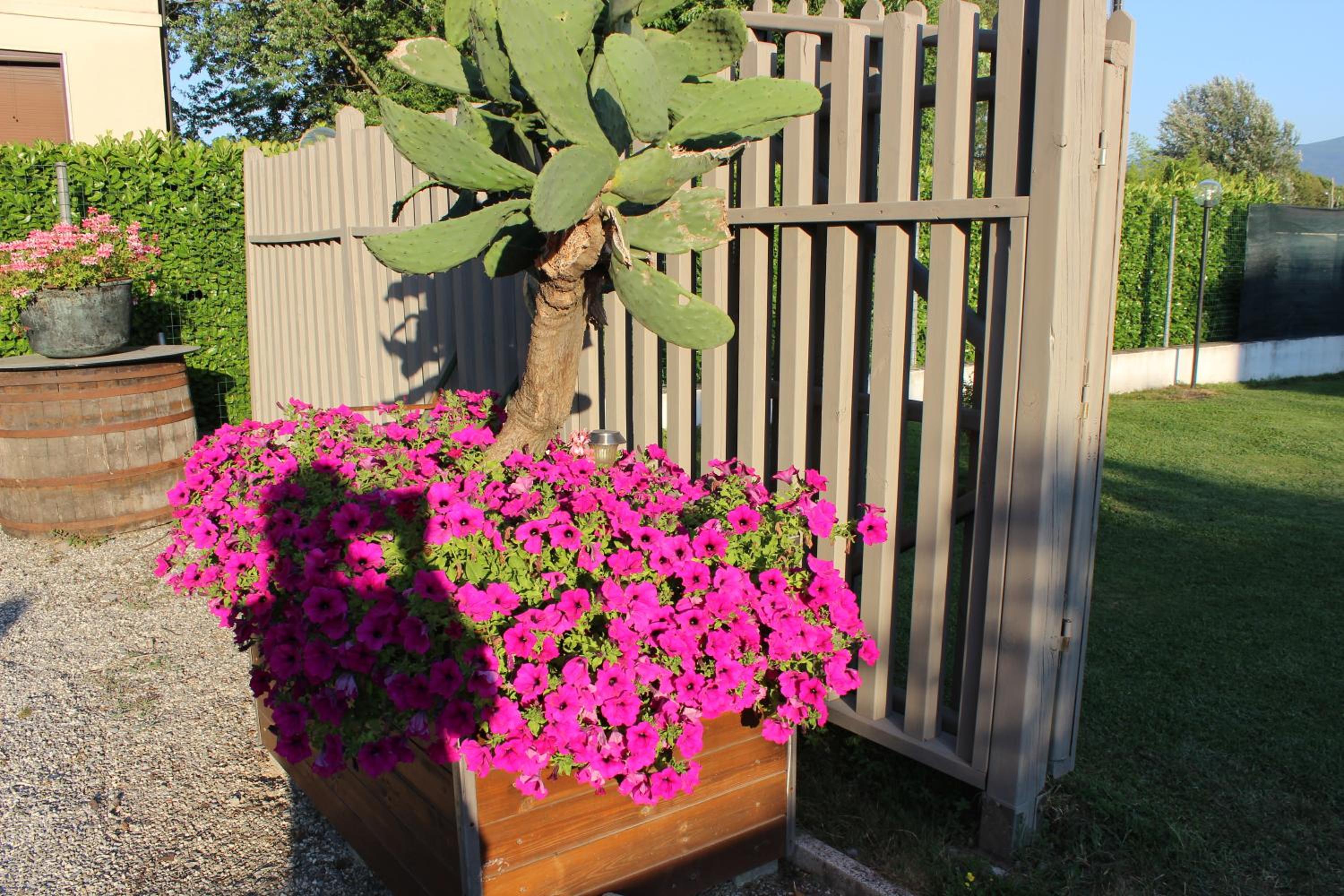 Photo 15