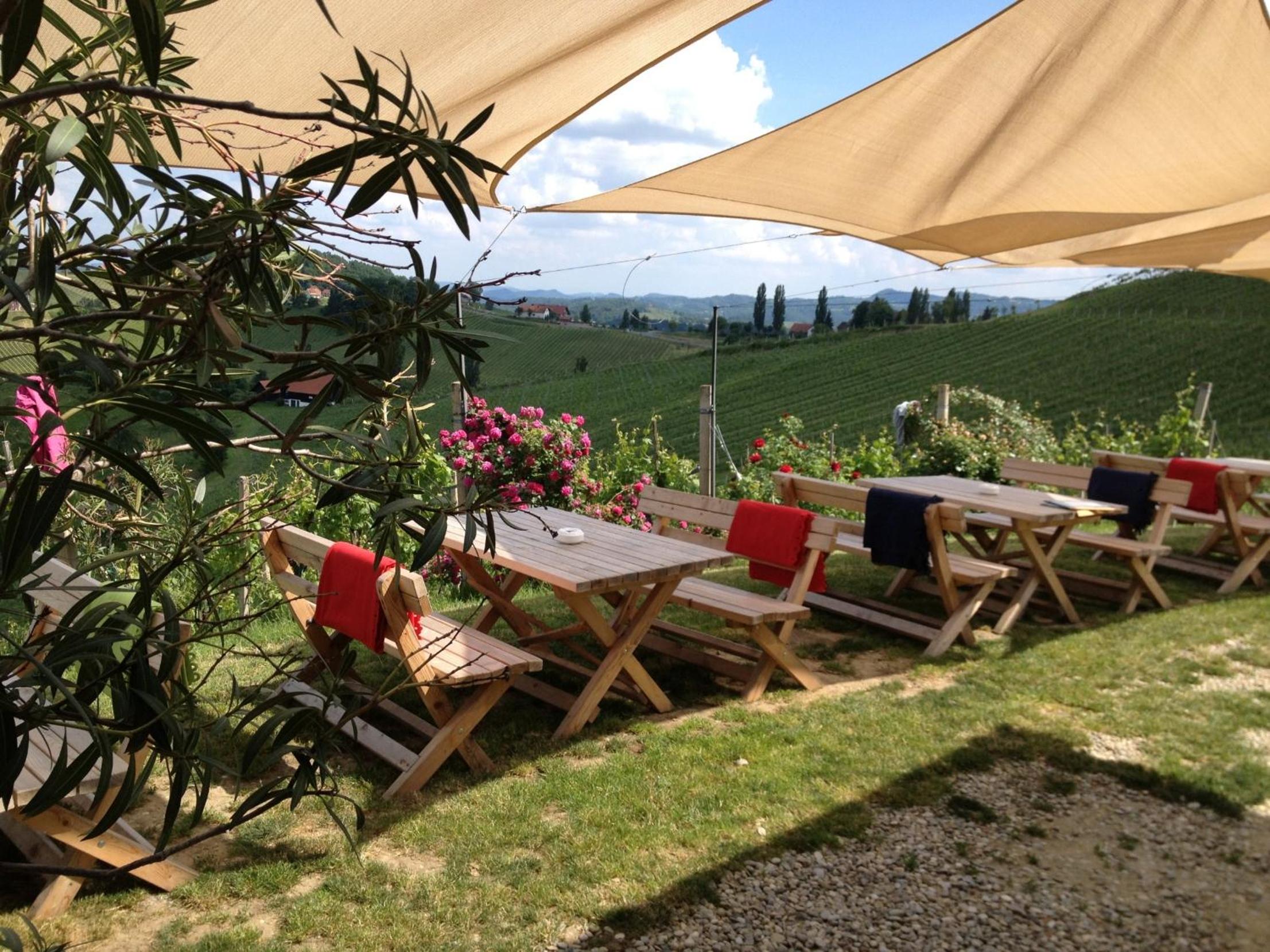 Weingut Kögl