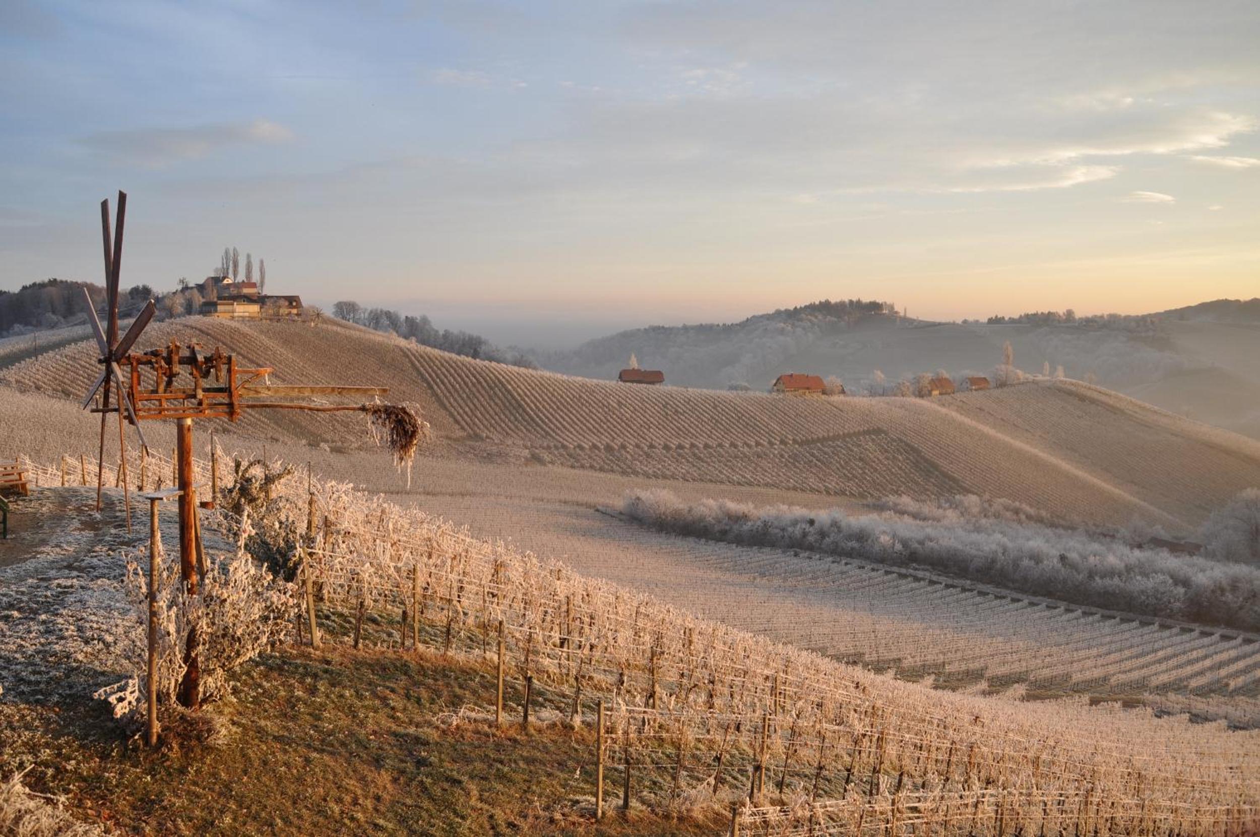 Weingut Kögl