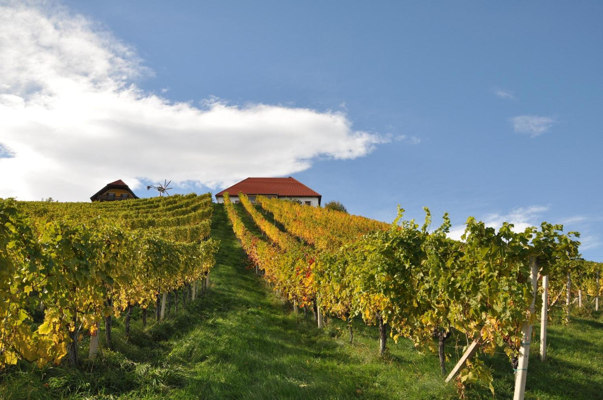 Weingut Kögl