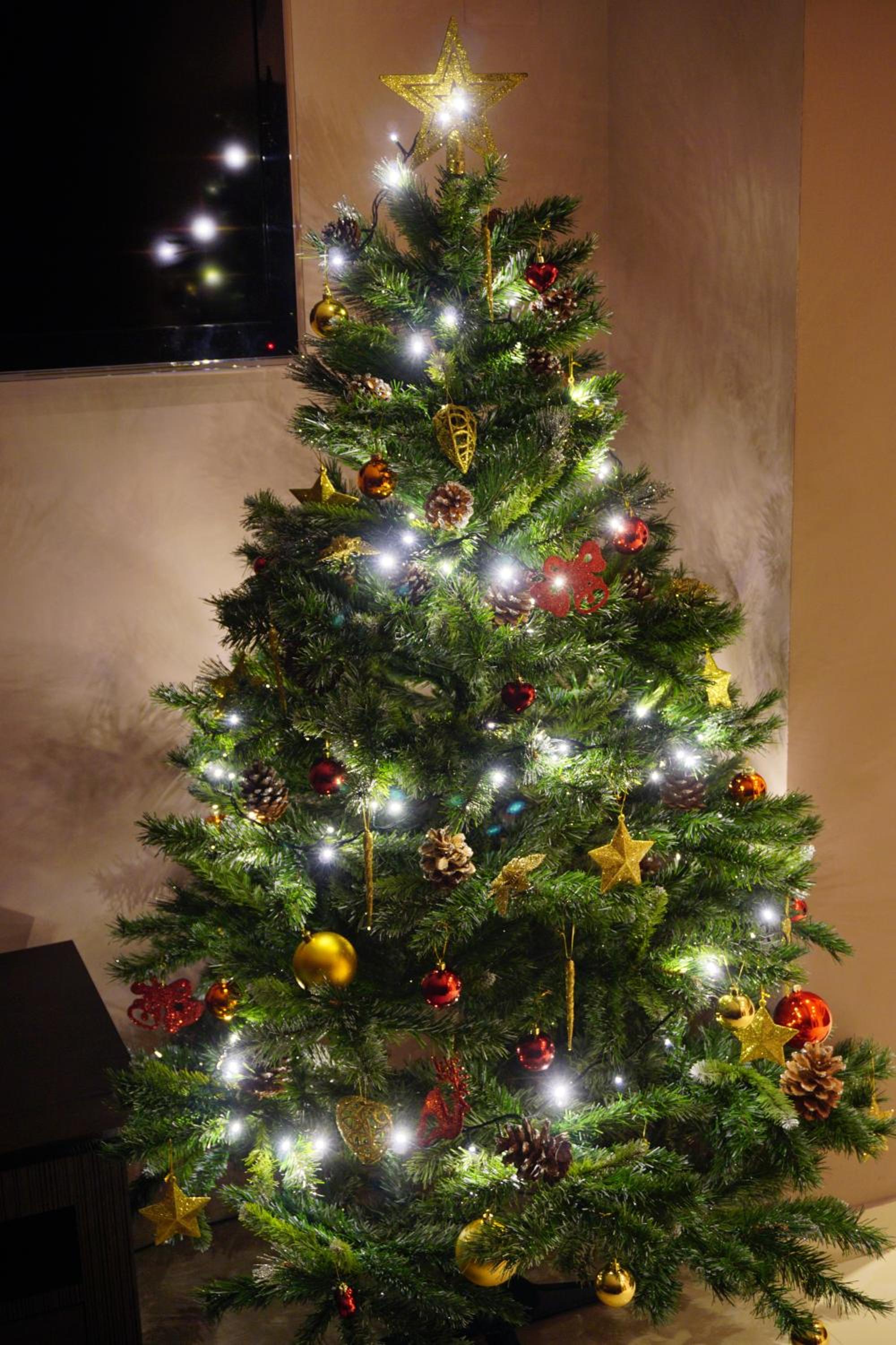 Photo 33