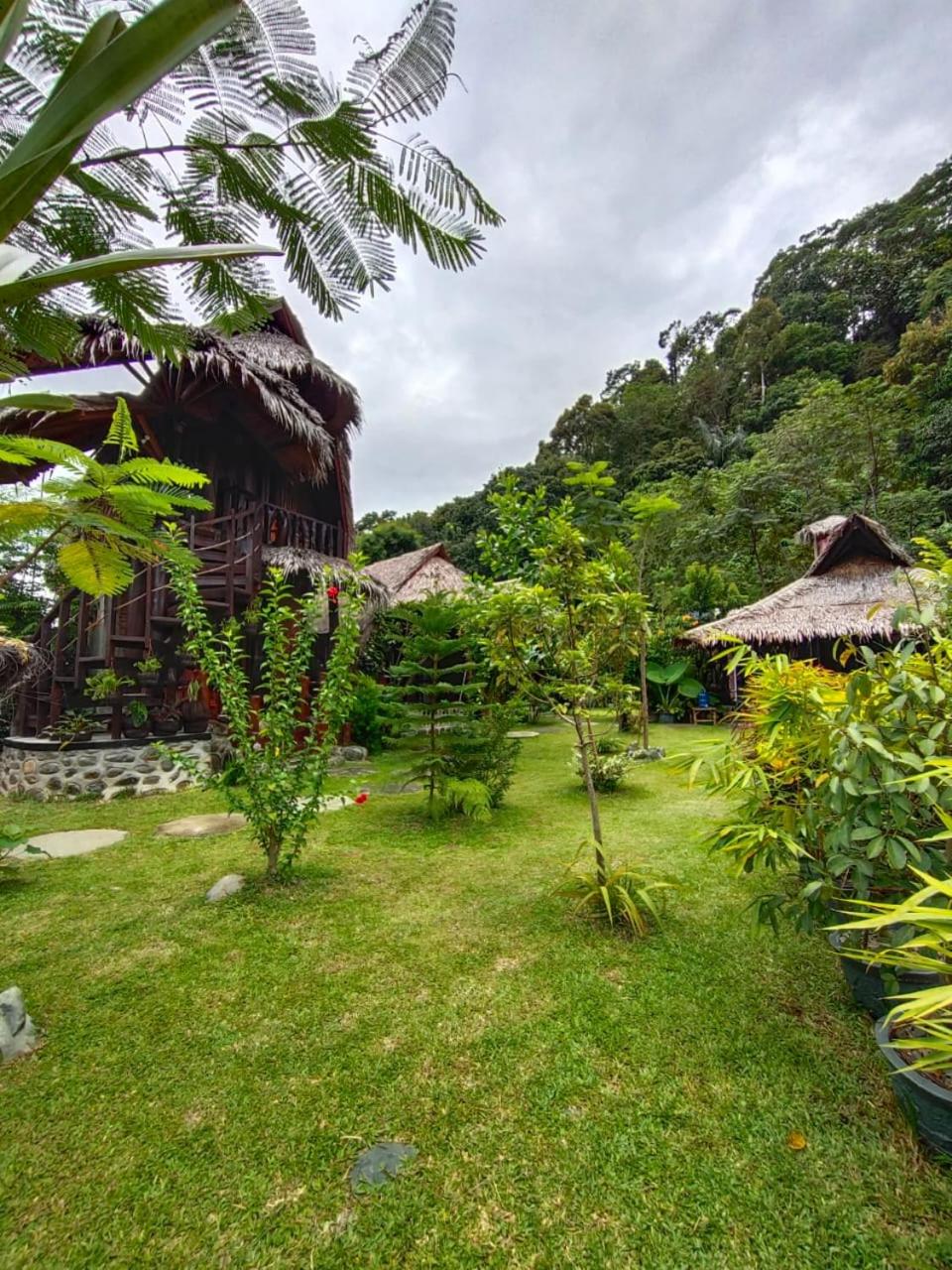 Photo 53