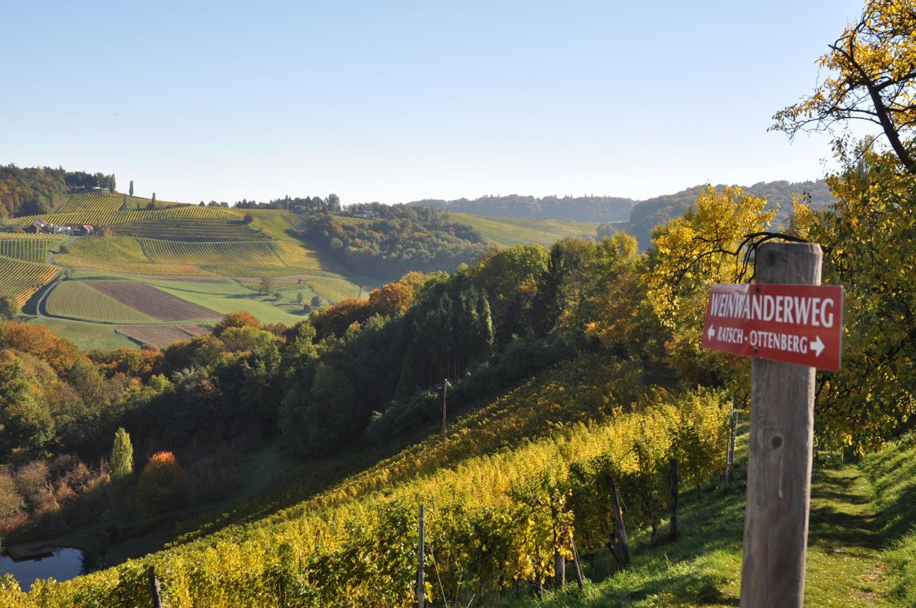Weingut Kögl