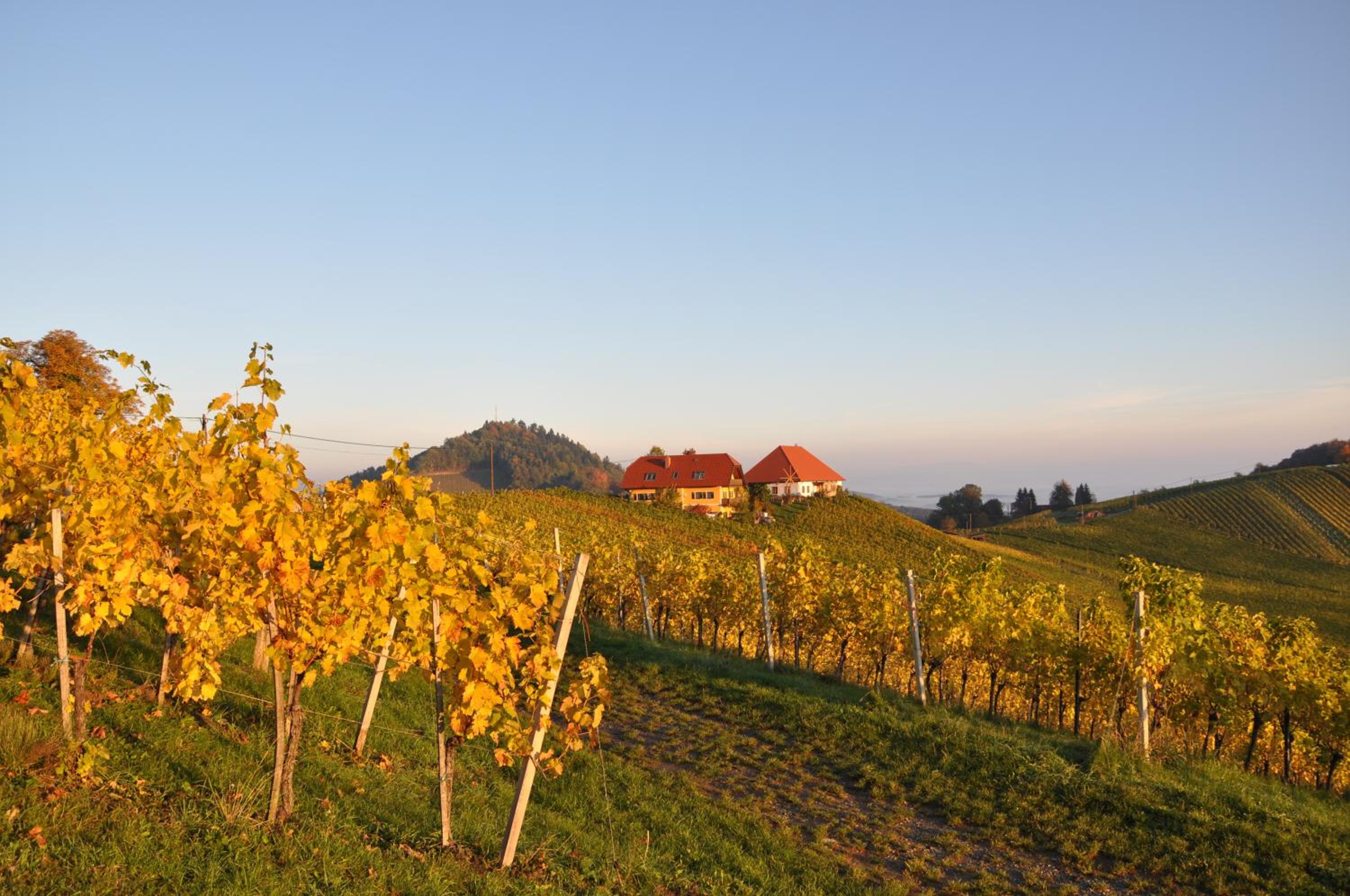 Weingut Kögl