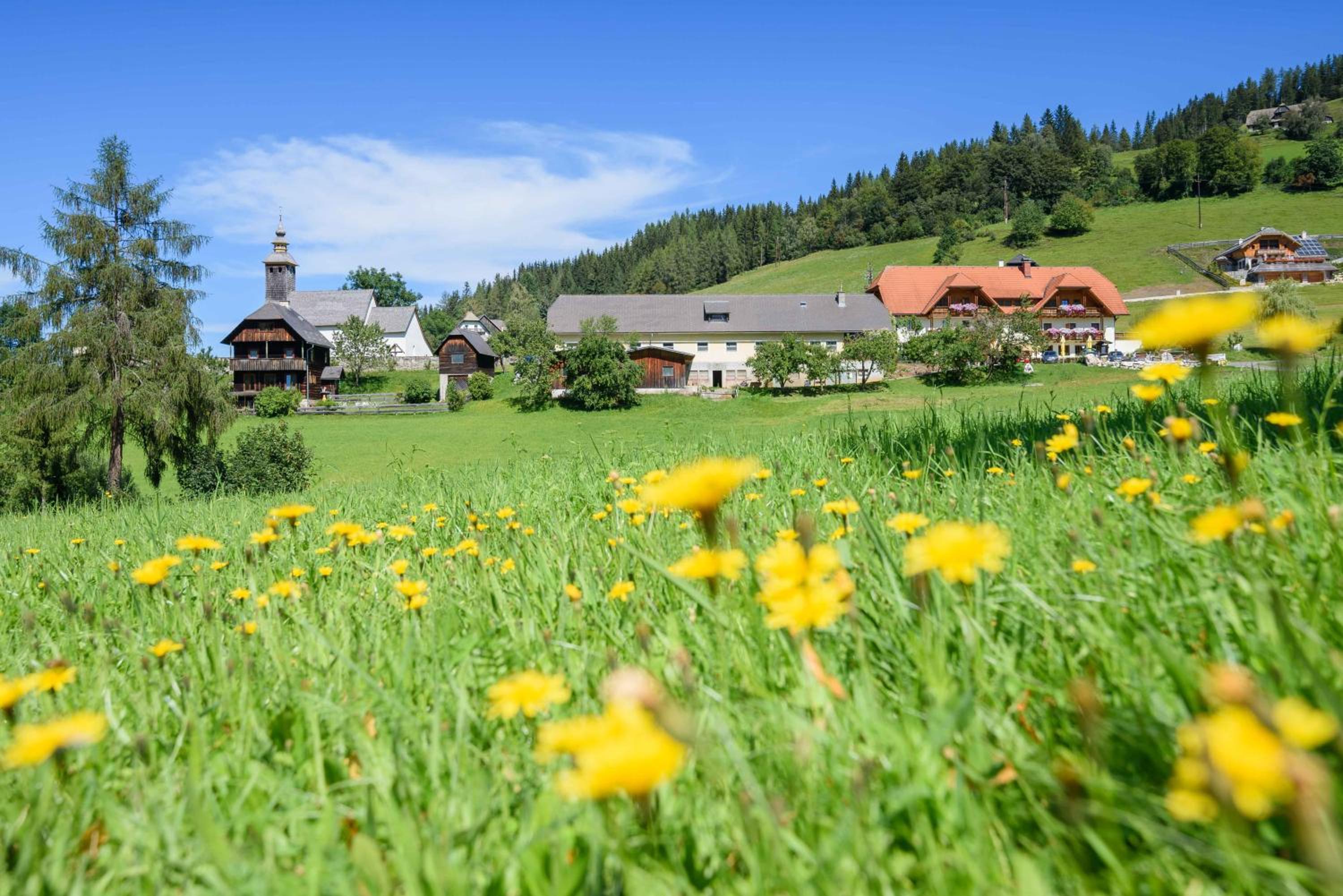 Alpengasthof Moser