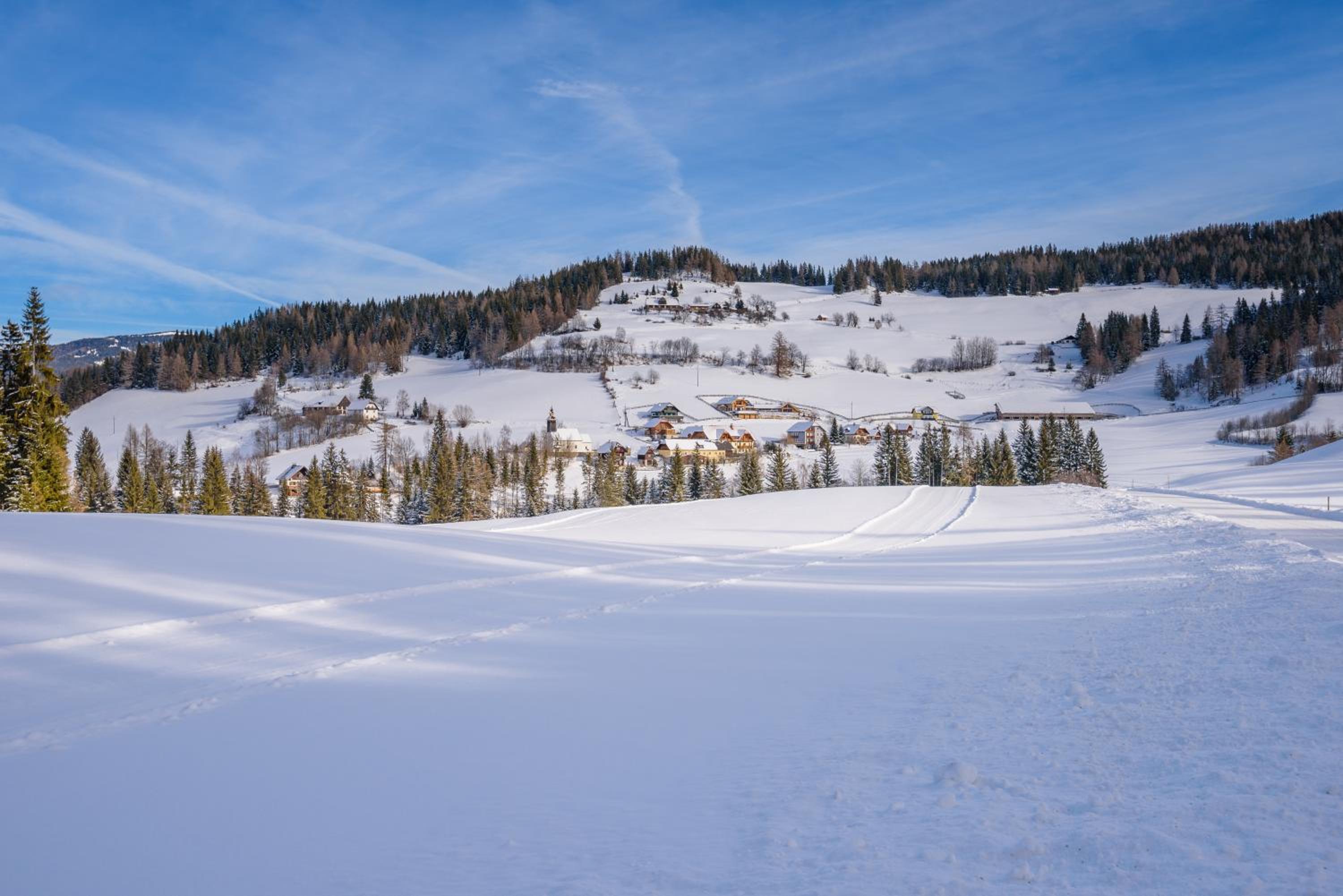 Alpengasthof Moser