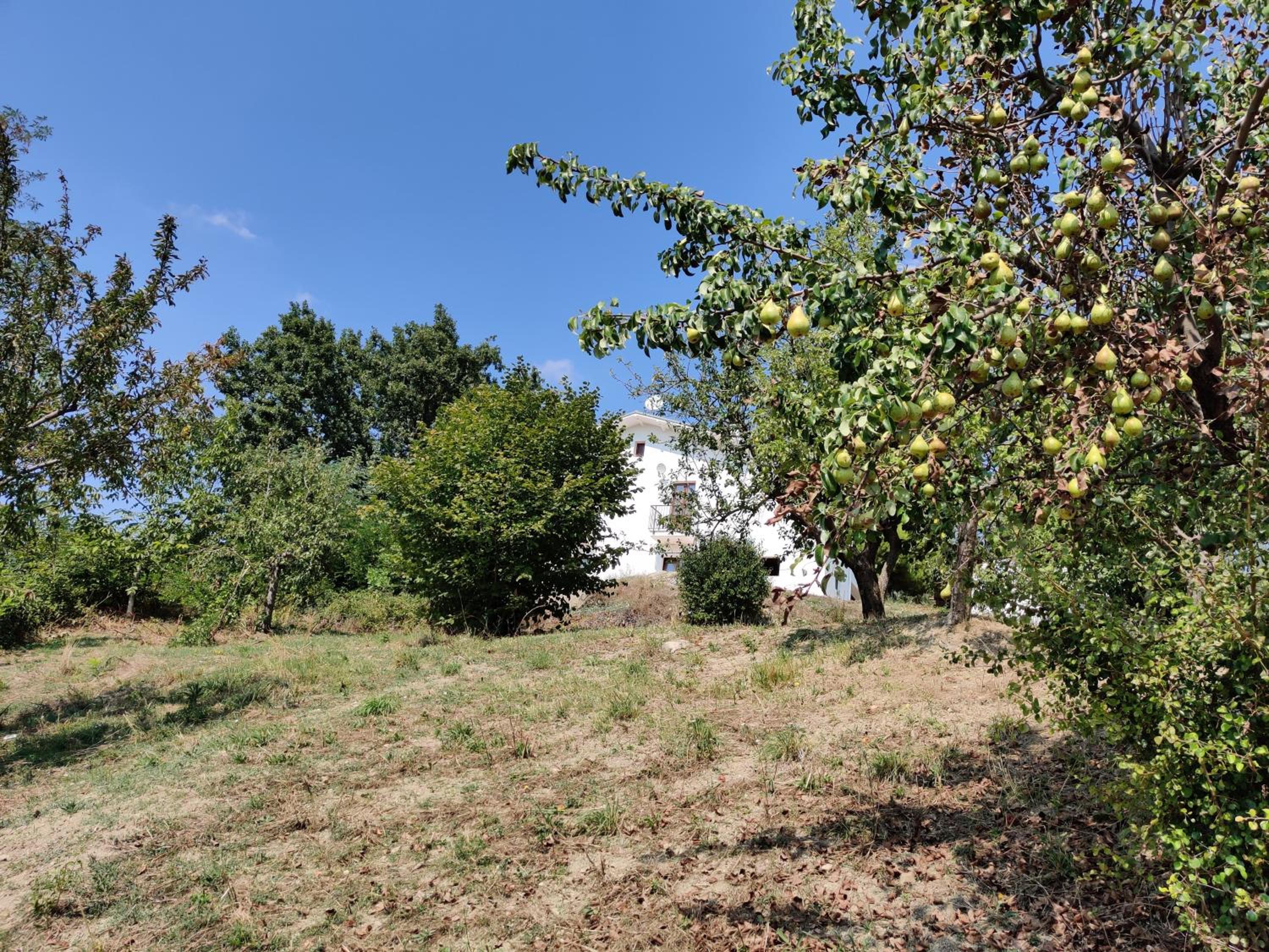 Photo 17