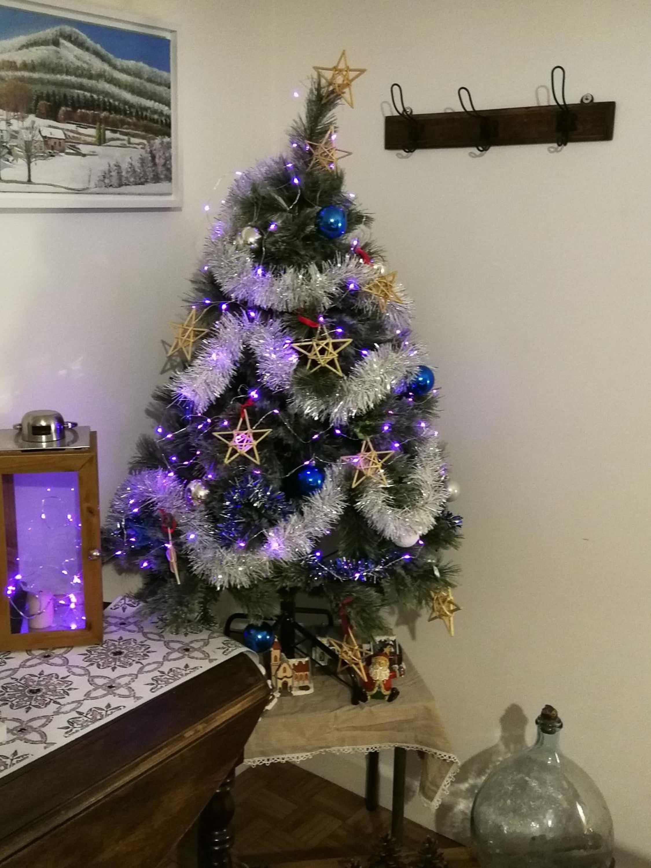 Photo 26