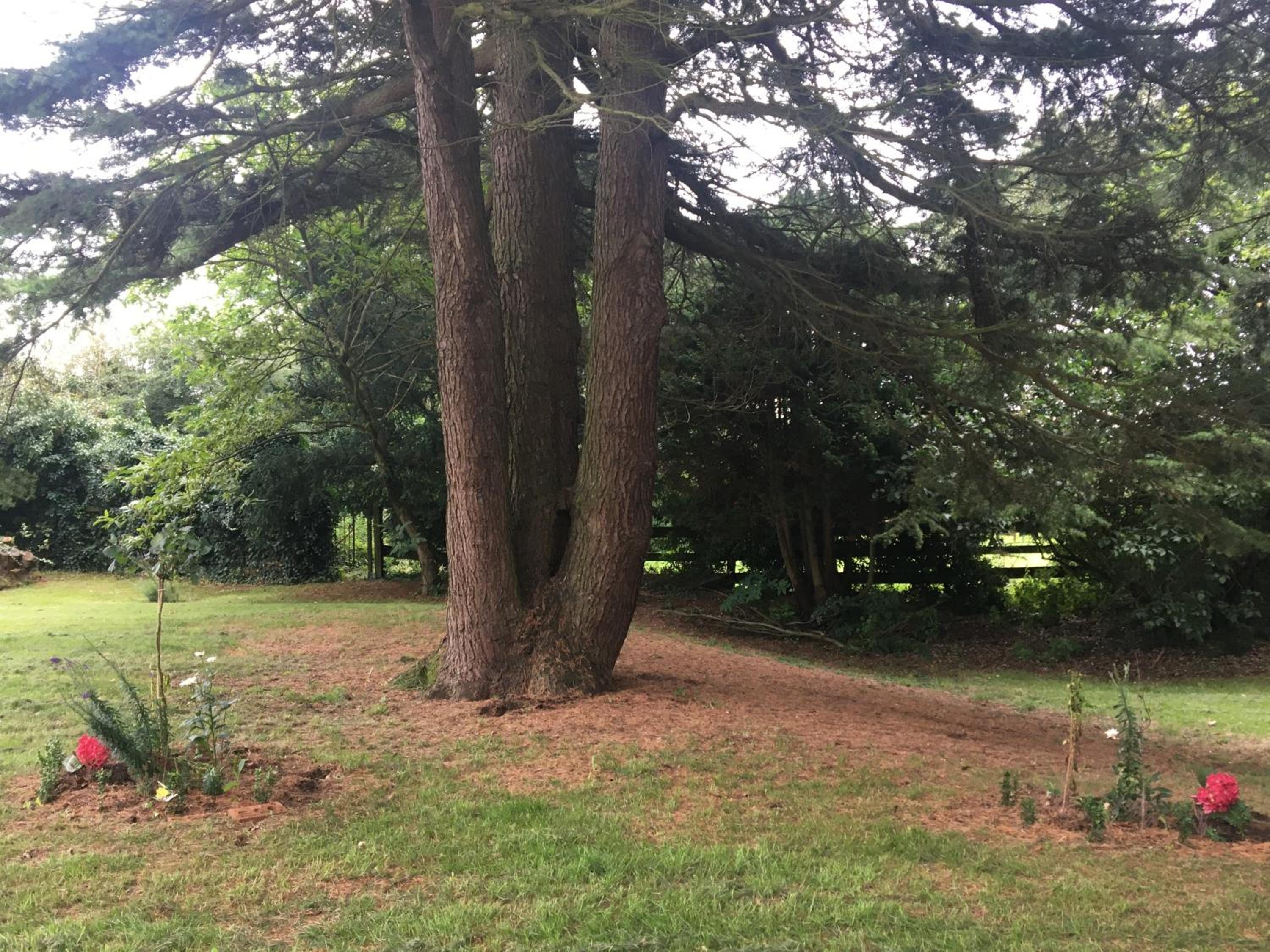 Photo 18