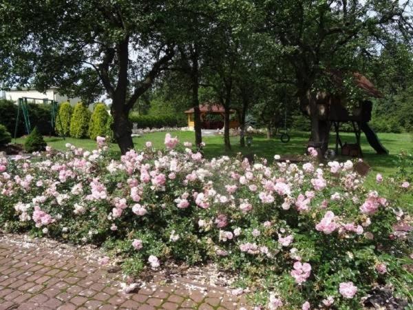 Photo 53